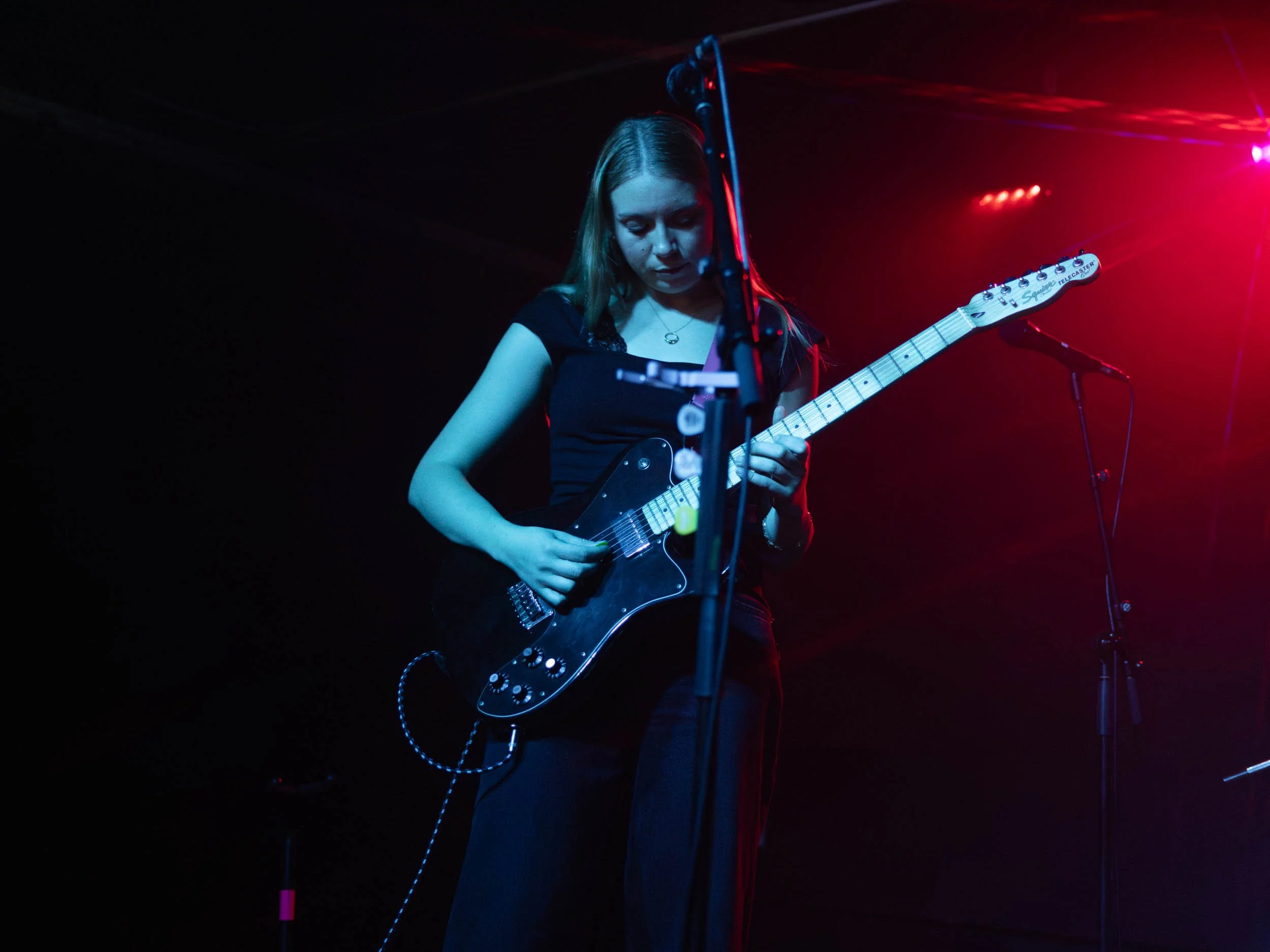 Sarah Kinsley, Vivarium, 2025