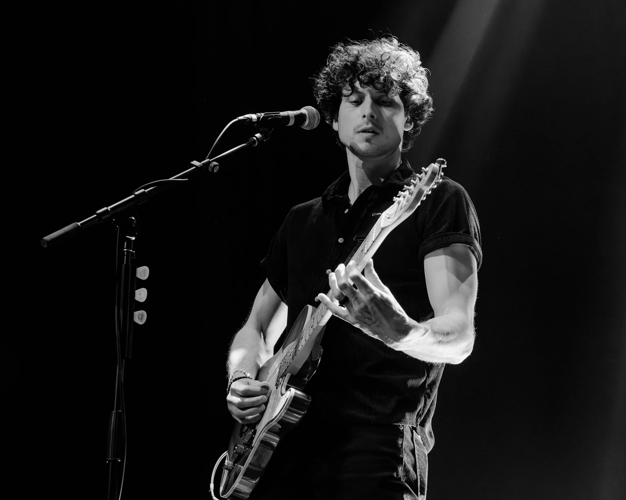 The Early November, The Argo, 2026