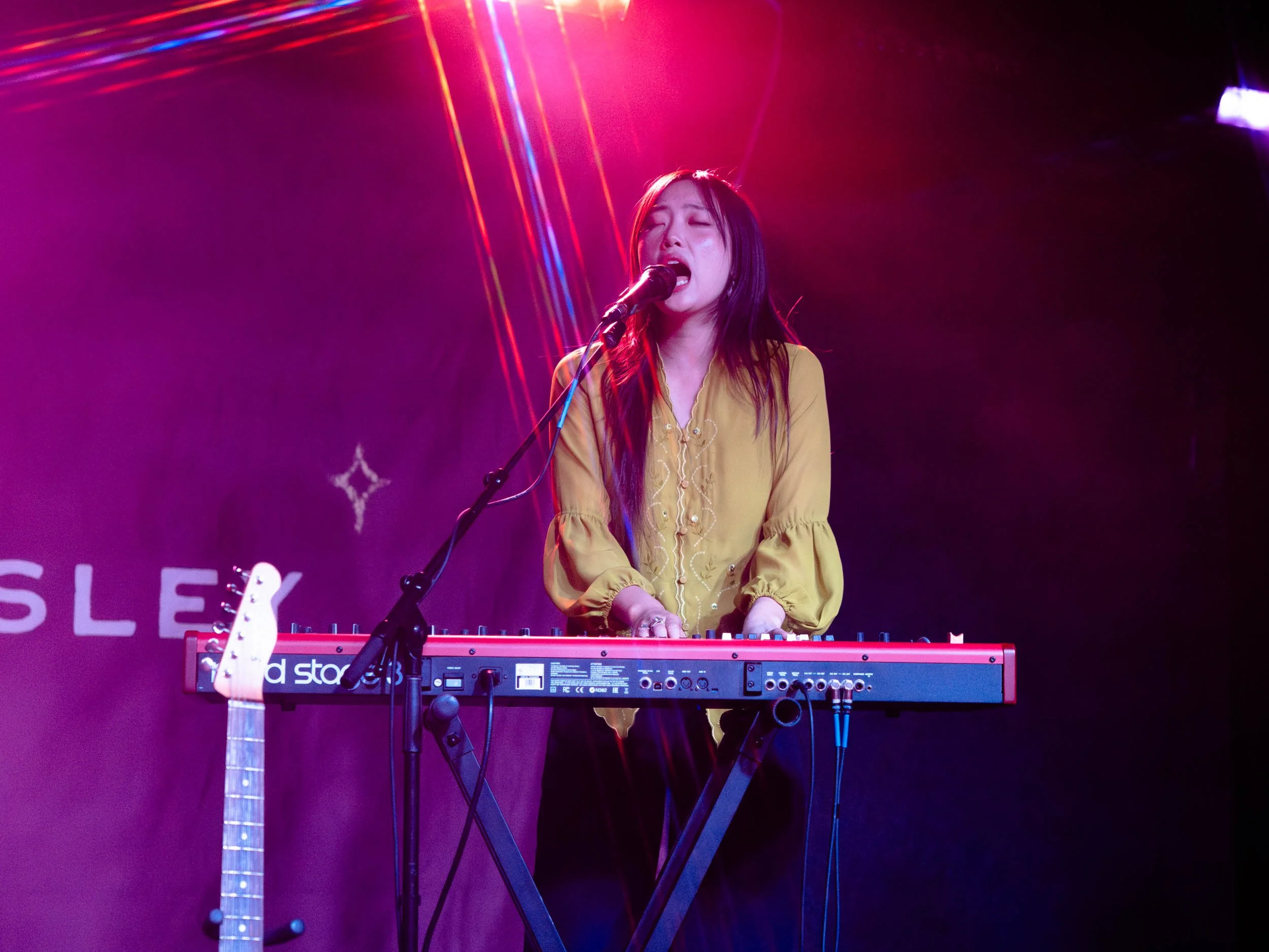 Sarah Kinsley, Vivarium, 2025