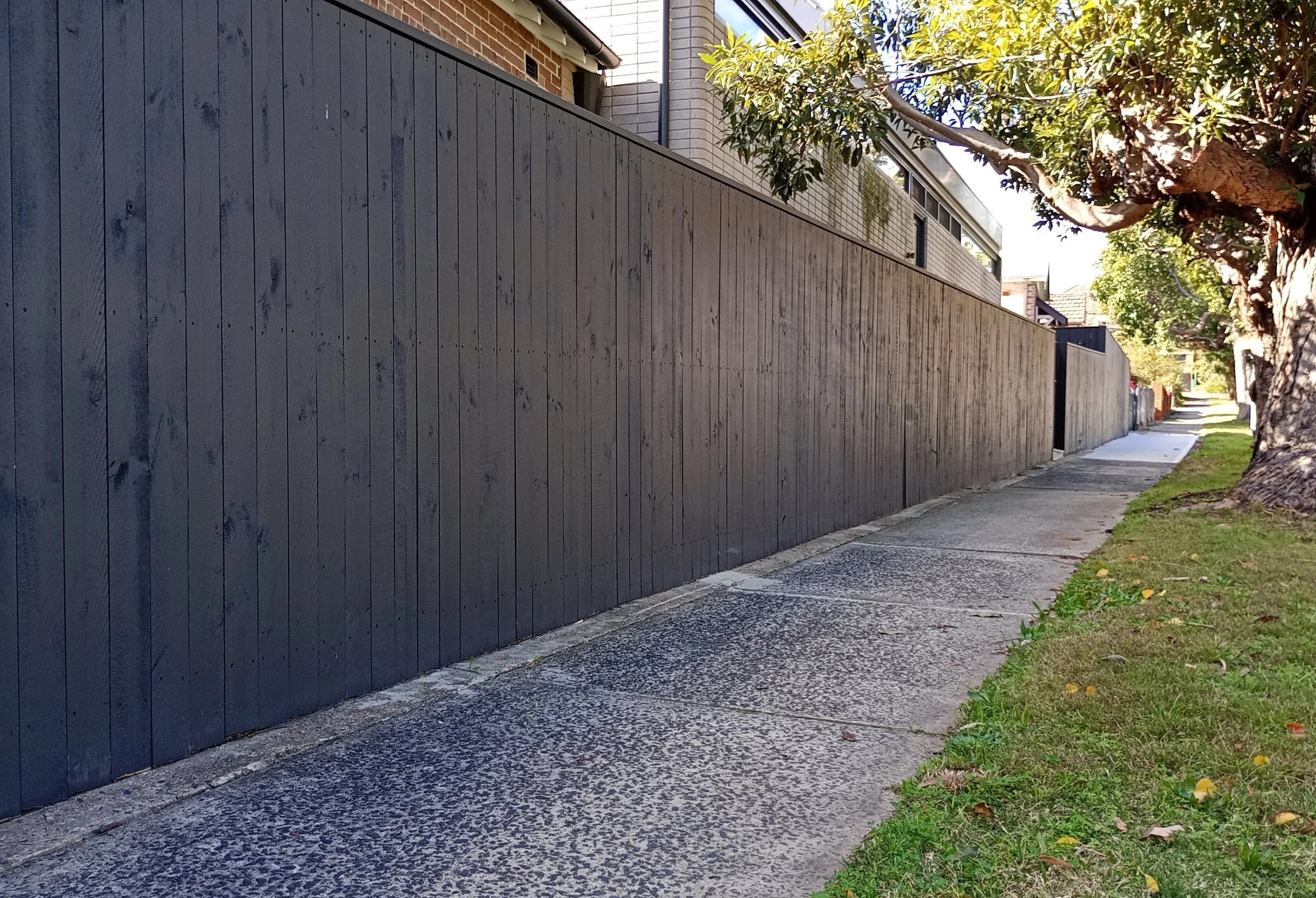 Butted Paling Fence with a Cap. Painted treated pine timber. Installed Hurlstone Park-Better Quality Fencing and Decking