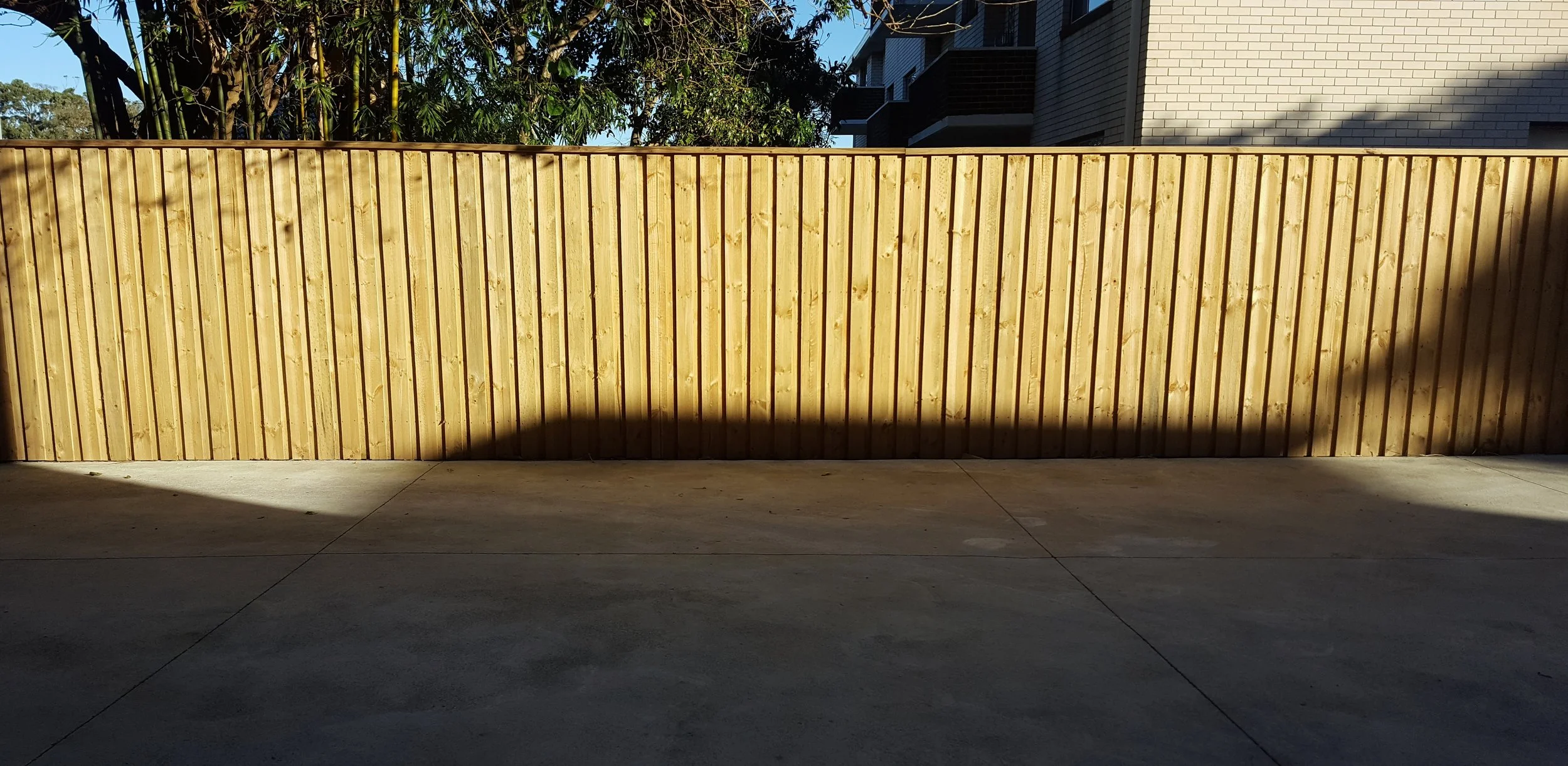 Lap and cap dividing fence in pine timber. Randwick