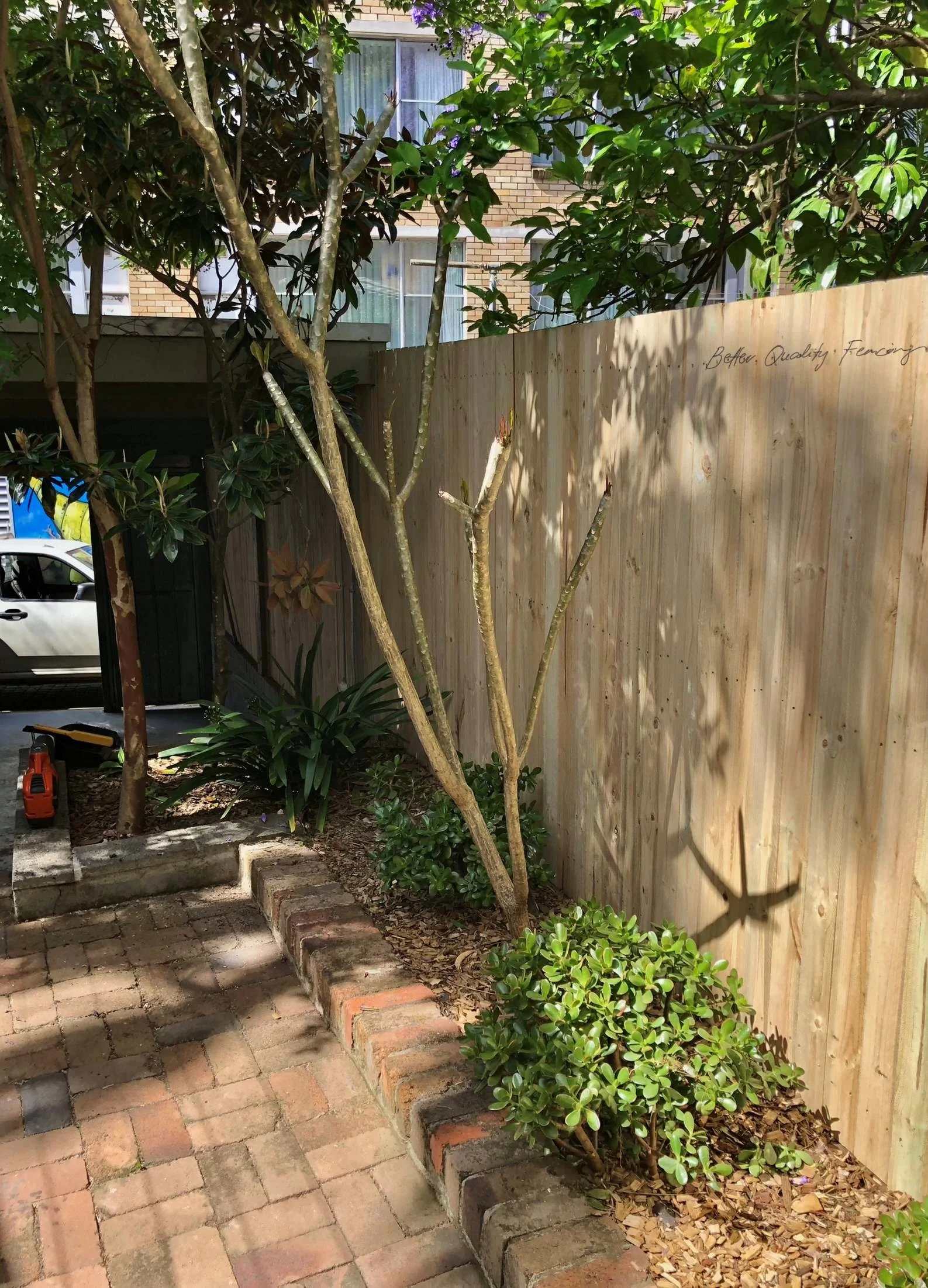 Pine-Paling-Garden-Fence-Better-Quality-installed-paddington-sydney.jpg