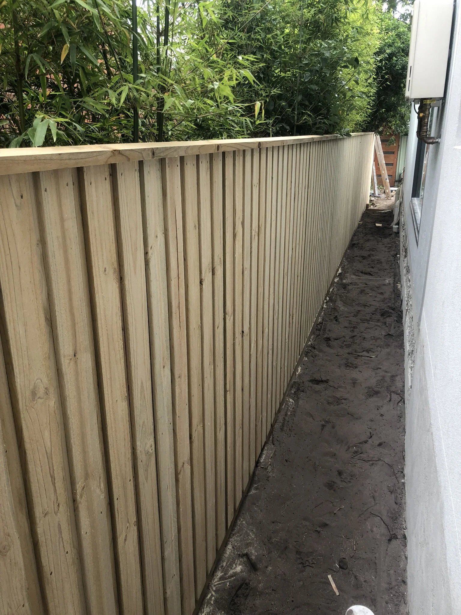 Lap and cap timber fencing, in treated pine. Queens Park, Sydney