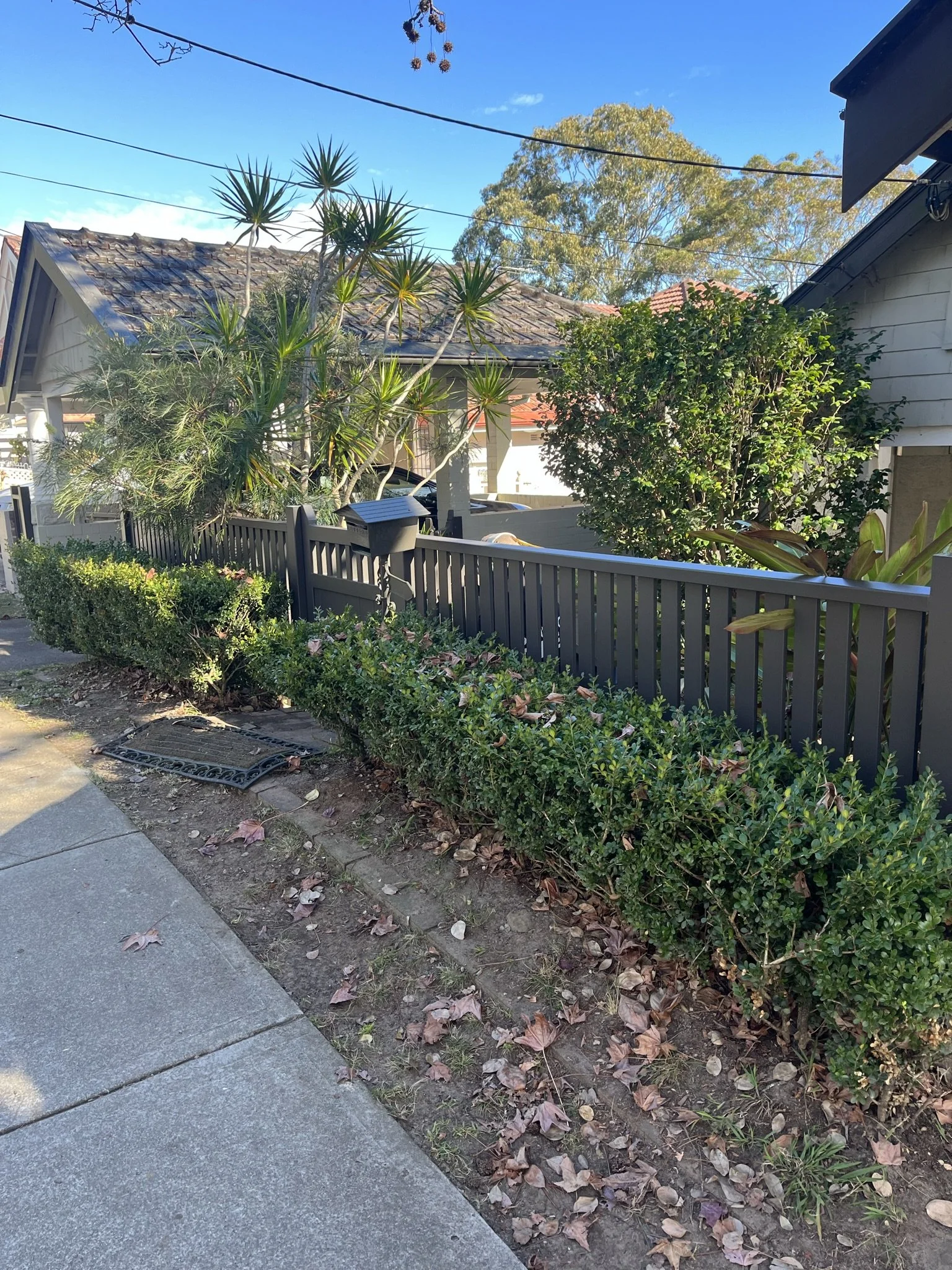 Hampton Style Capped Picket Installed Longueville by Better Quality Fencing.JPEG