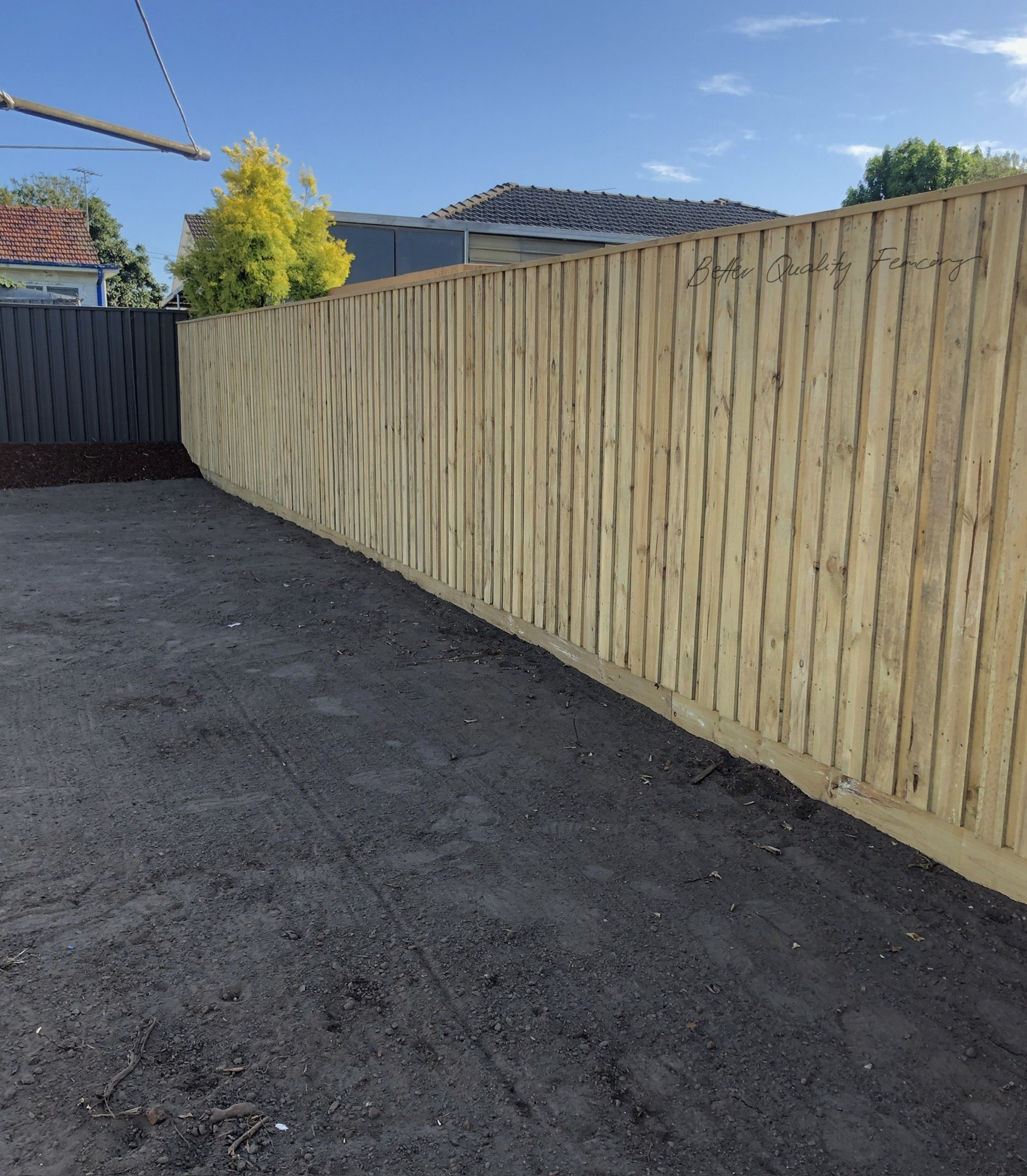 Timber Paling and Lapped and Capped Fences — Better Quality Fencing and Decking Sydney
