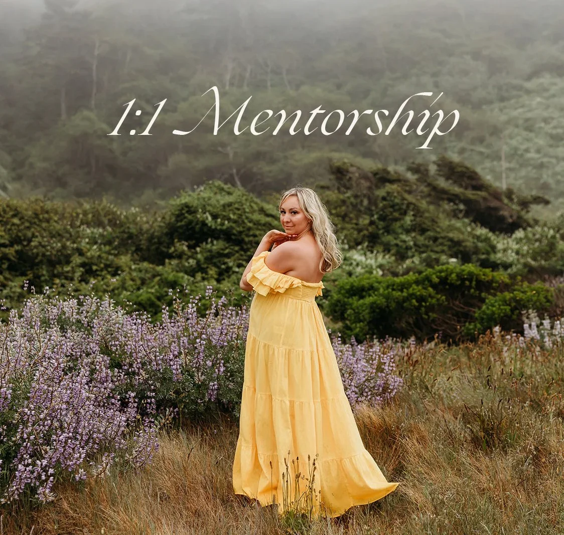 1:1 Mentorship