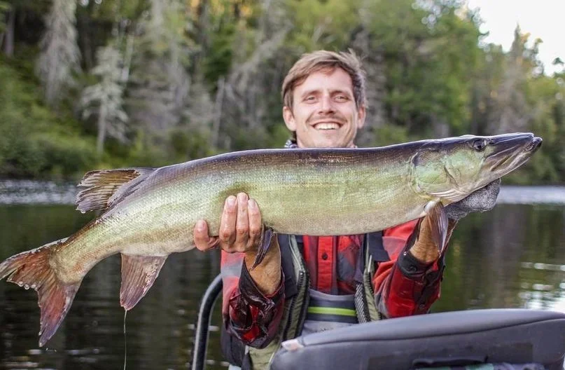 Grand Rapids Tree Service