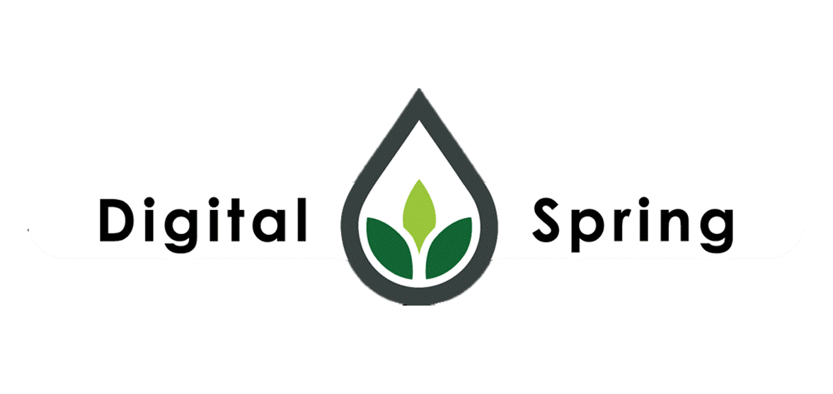 Digital-Spring-Logo.png