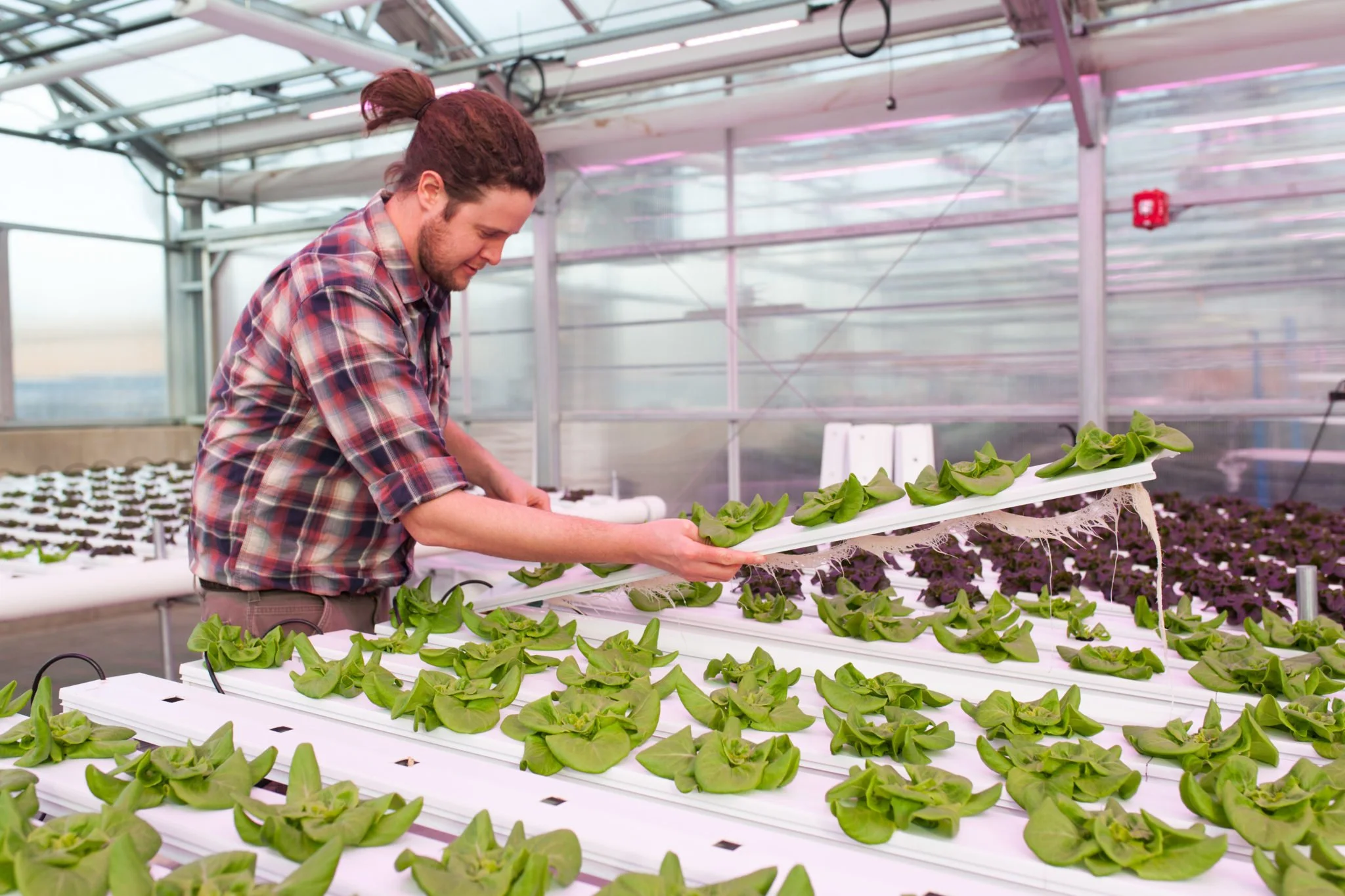 IIC is supporting advances in innovation and adoption