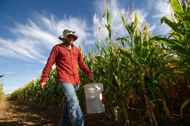 Program Perspectives from Omer Izrael, CSU-TAPS Program Manager