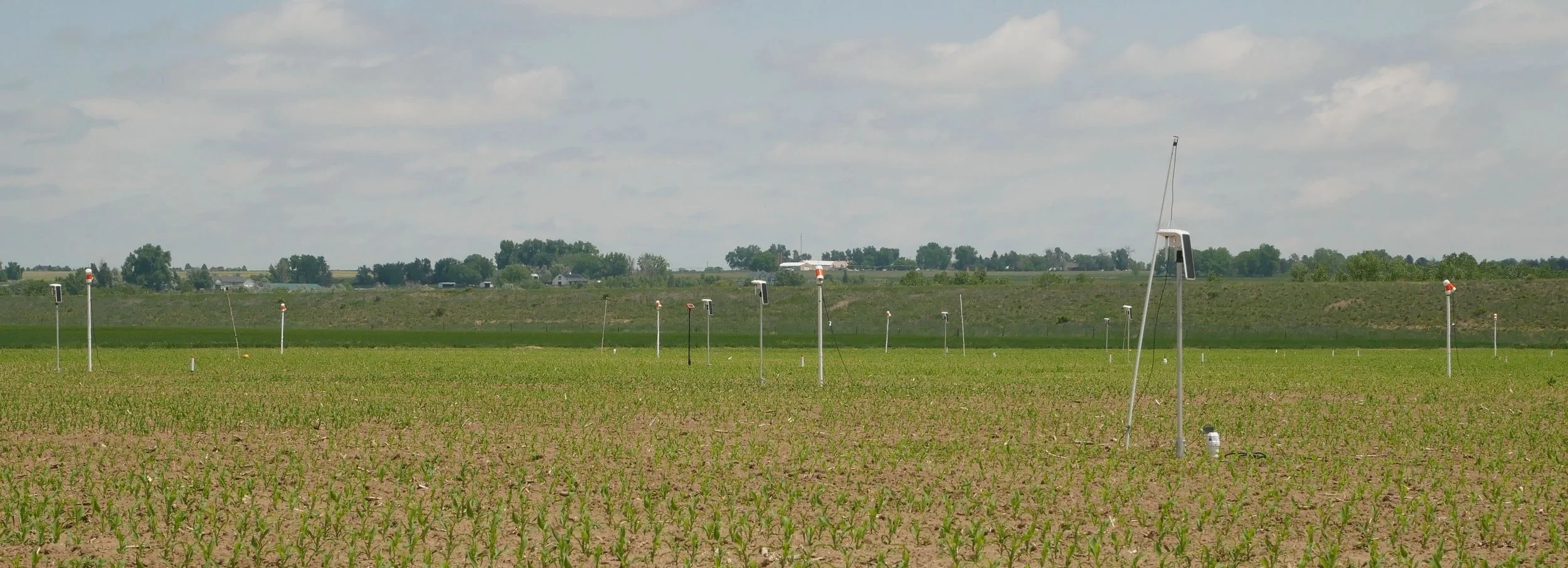 Ag Tech Sensor Installation Complete for 2025 CSU-TAPS!