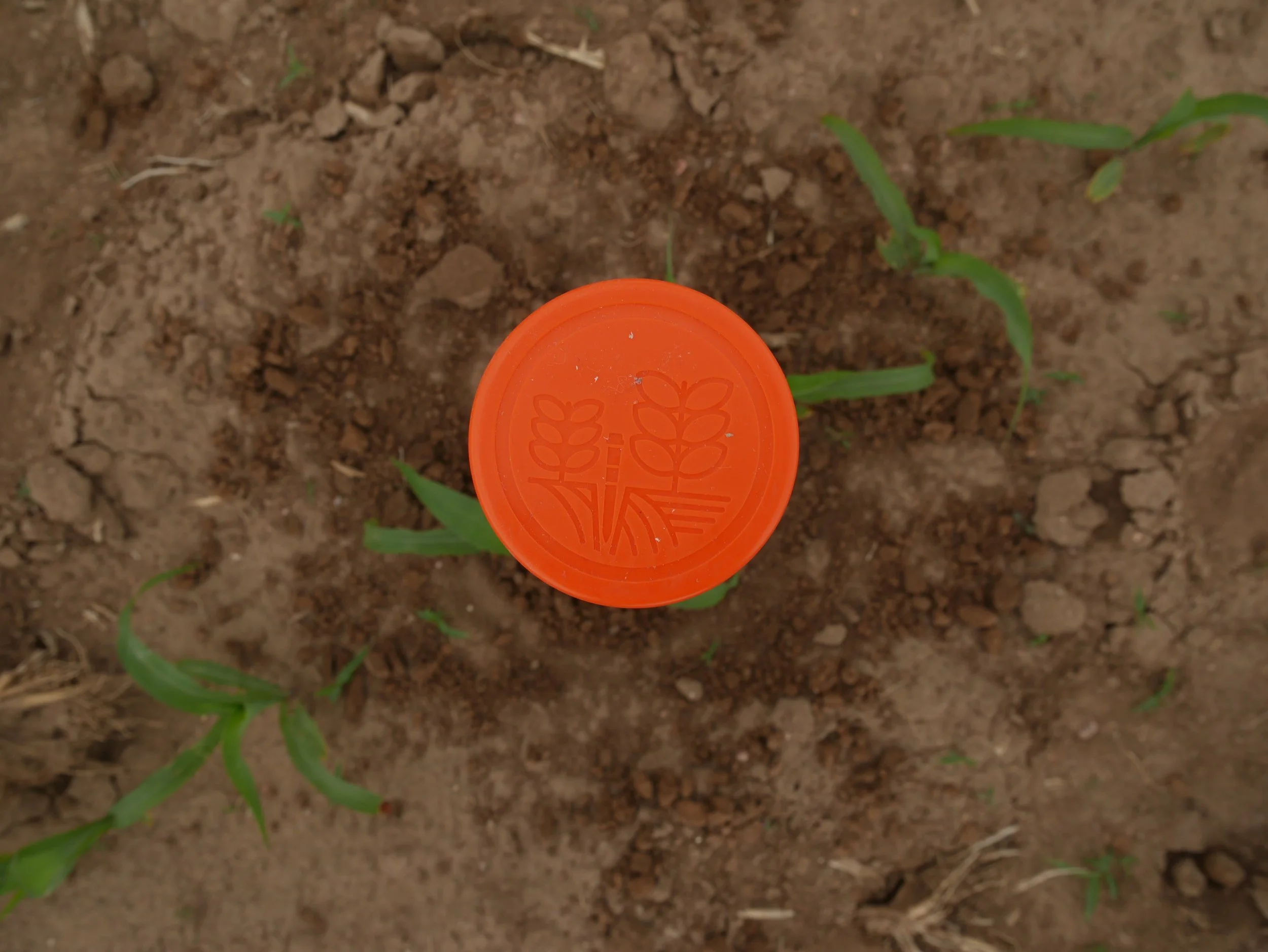 2025 CSU-TAPS Research Snapshot