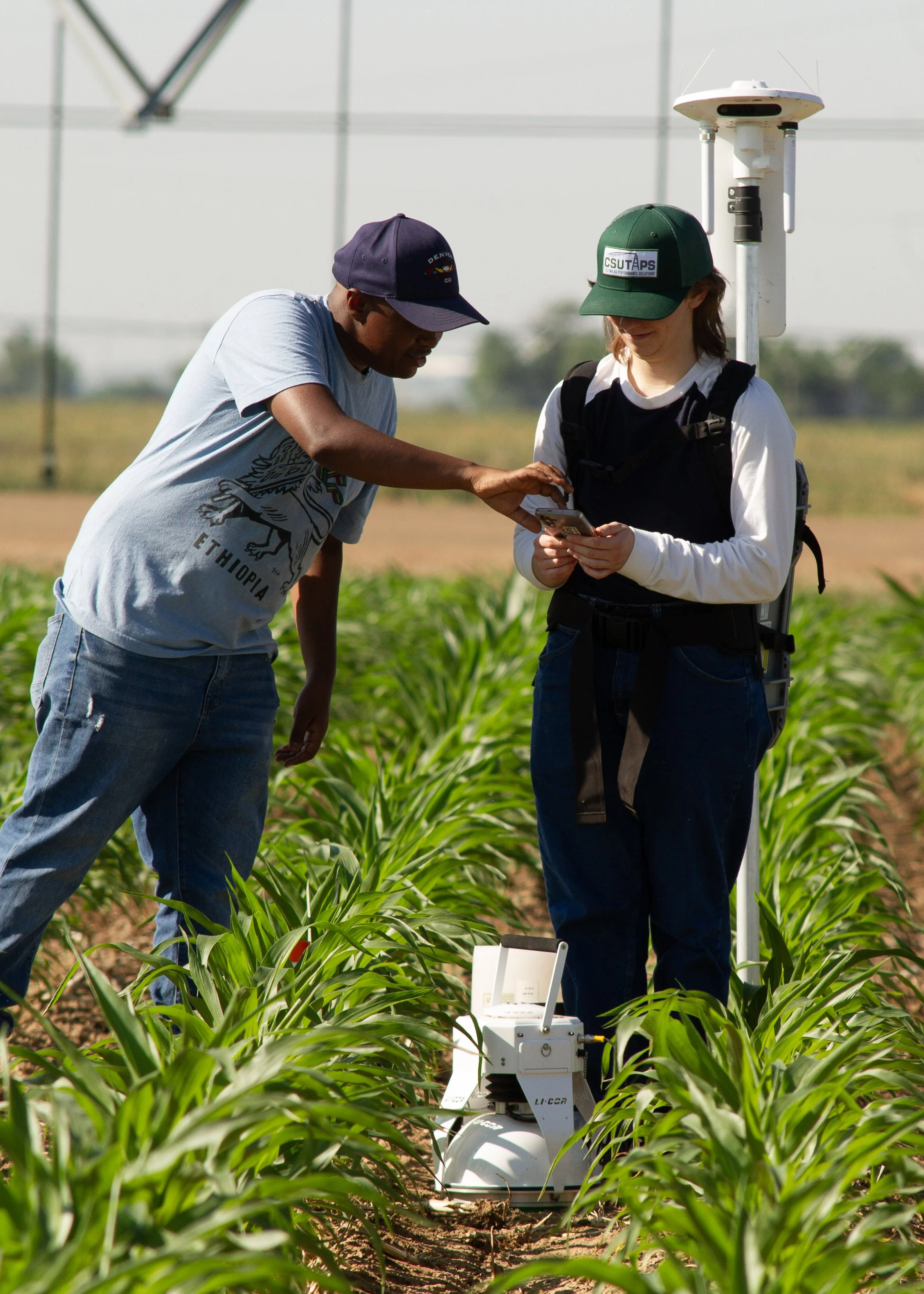 2025 CSU TAPS June LICOR sampling Wub Yilma_Aaron Cherry.jpg