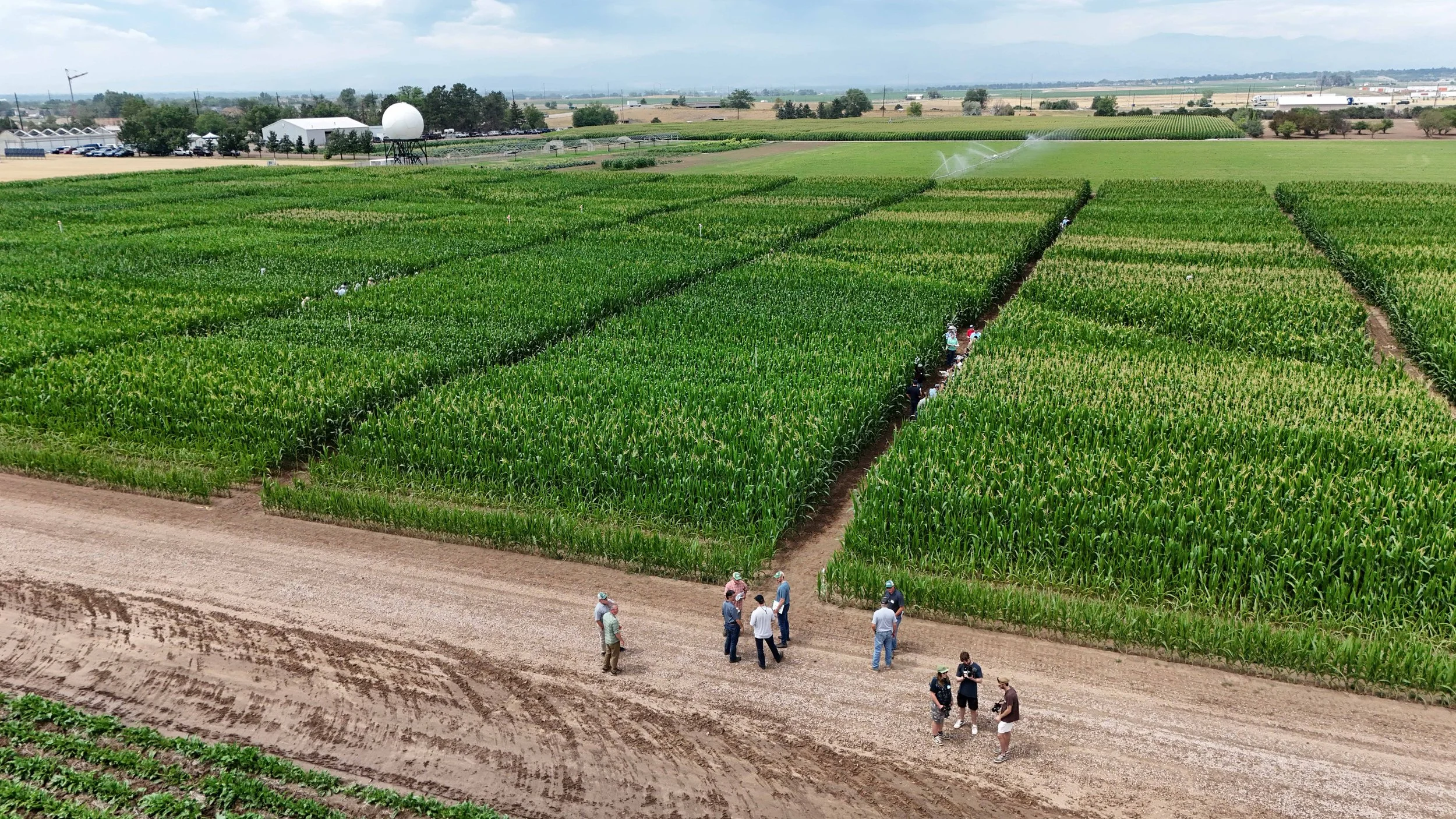 Summertime CSU-TAPS Farm Competition Fun