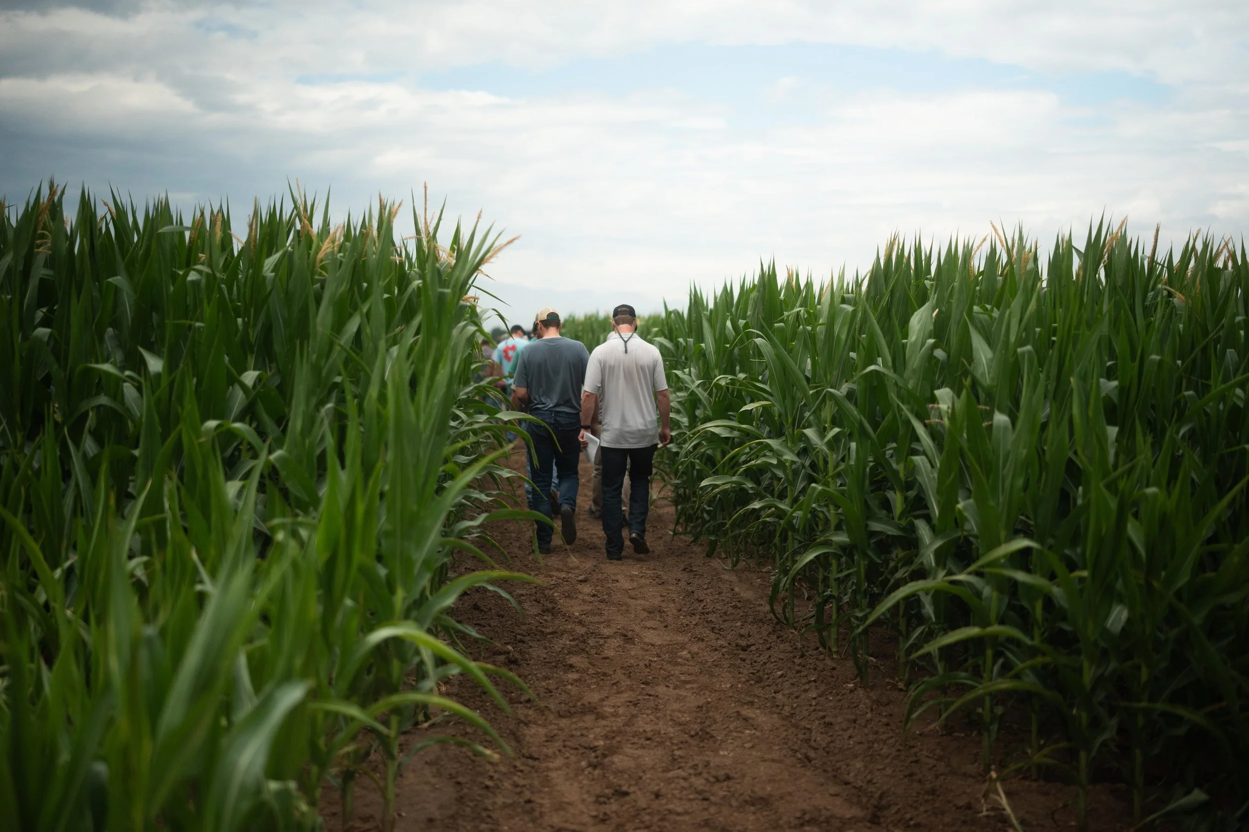 CSU-TAPS 2026 Mid-Summer Corn Market Webinar