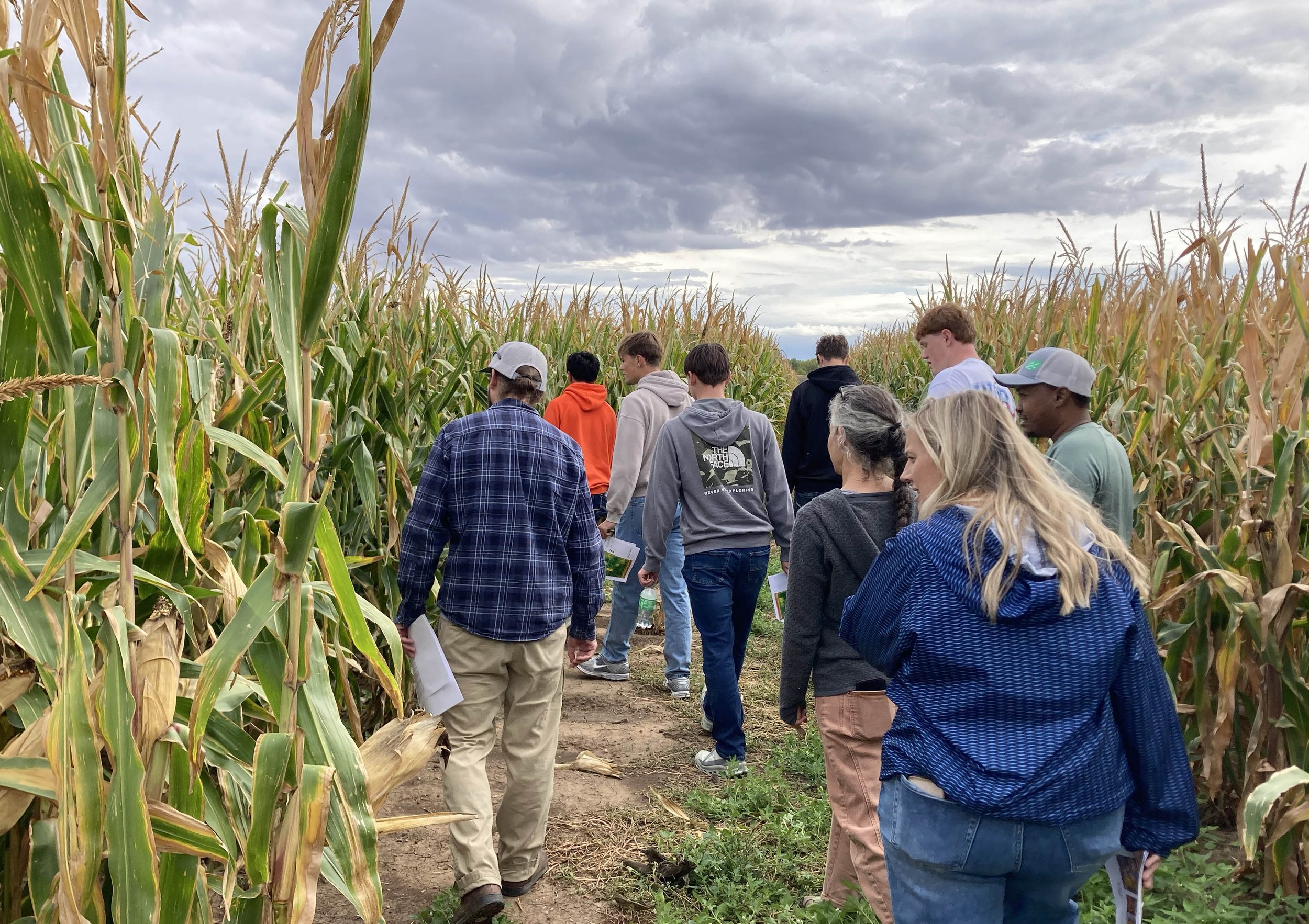 The 2026 CSU-TAPS team from Holyoke FFA visits their plots in the competition corn field in September.