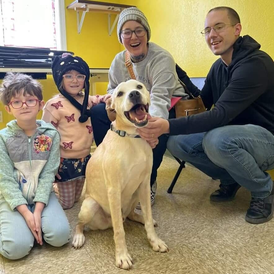 🎉Time for a PUPDATE! 🎉
Our Very Good Boy Sandy Paws is settling in to his new home and having the time of his life! Here's what his family had to say about his silly antics: 
&quot;Update on Mr. Sandy Paws as we hit our 2 weeks with him! He stole o