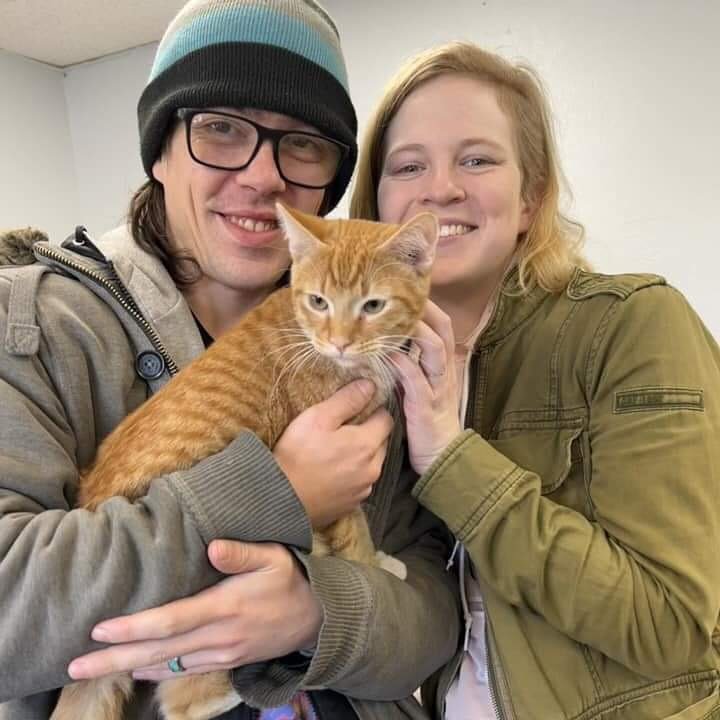 🐈&zwj;⬛ Happy CATurday! 🐈&zwj;⬛ 
These funky felines finally found their forever families--say that five times fast!

Considering a furry friend of your own? Come visit our Community Cat Room, where cats rule and dogs drool! (😹 Who are we kidding?
