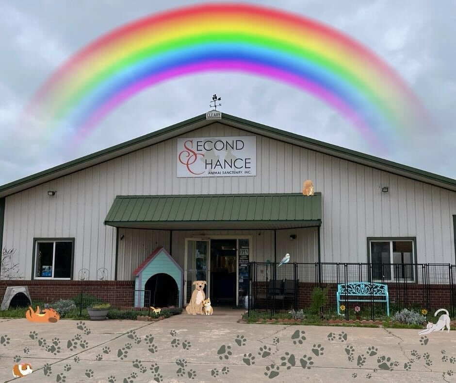 With hearts full of hope and determination, we&rsquo;re embarking on a transformative journey. After 35 years of tirelessly saving lives, we&rsquo;re pausing our brick and mortar operations to embark on a mission to change the face of our shelter and