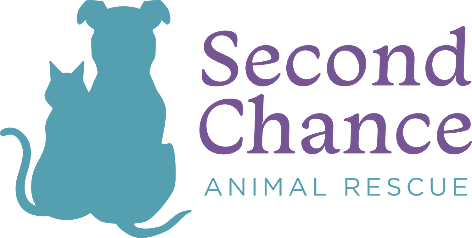 Shelters & Rescues — Second Chance Animal Rescue