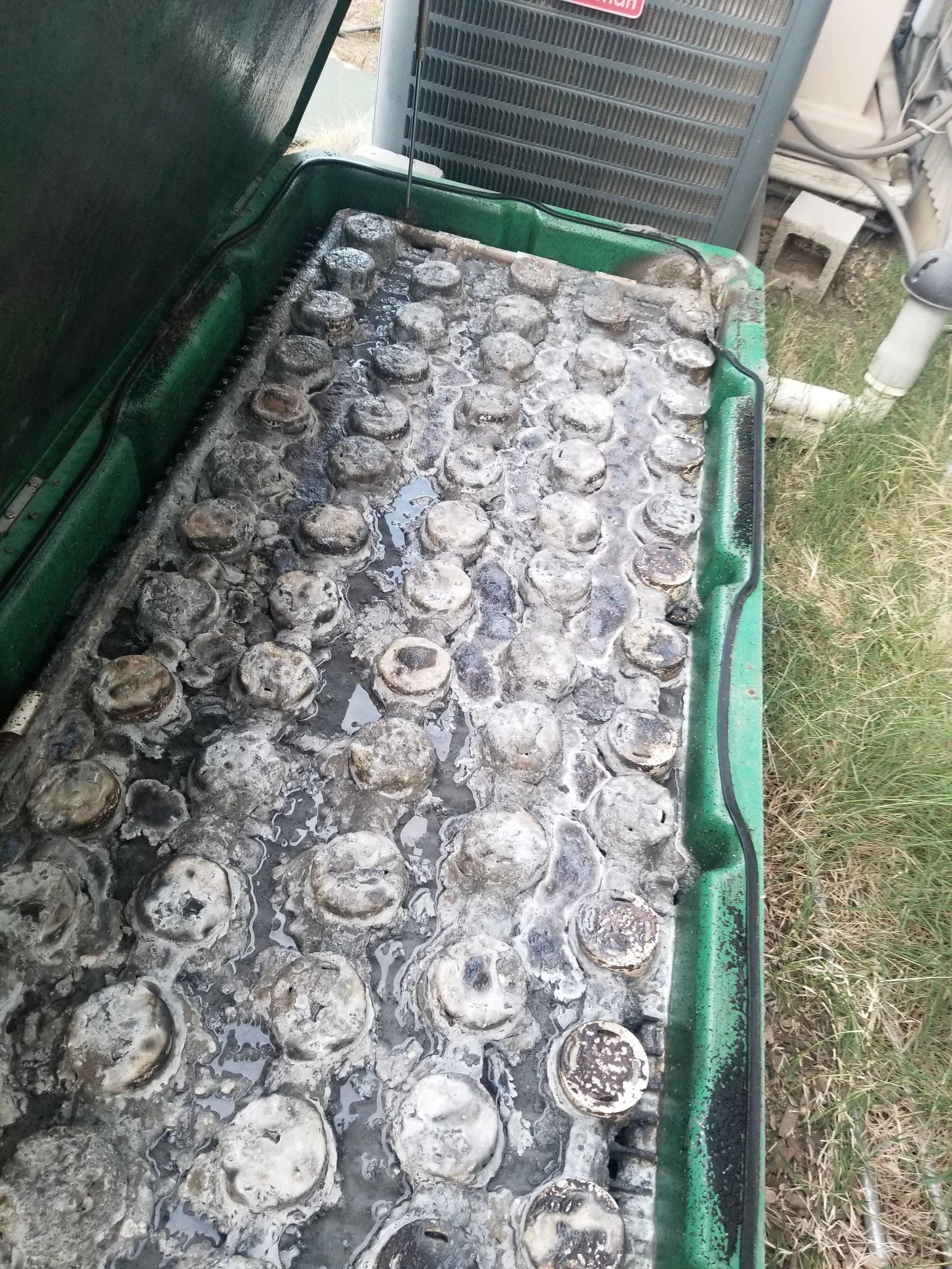 20201106_070734.jpg