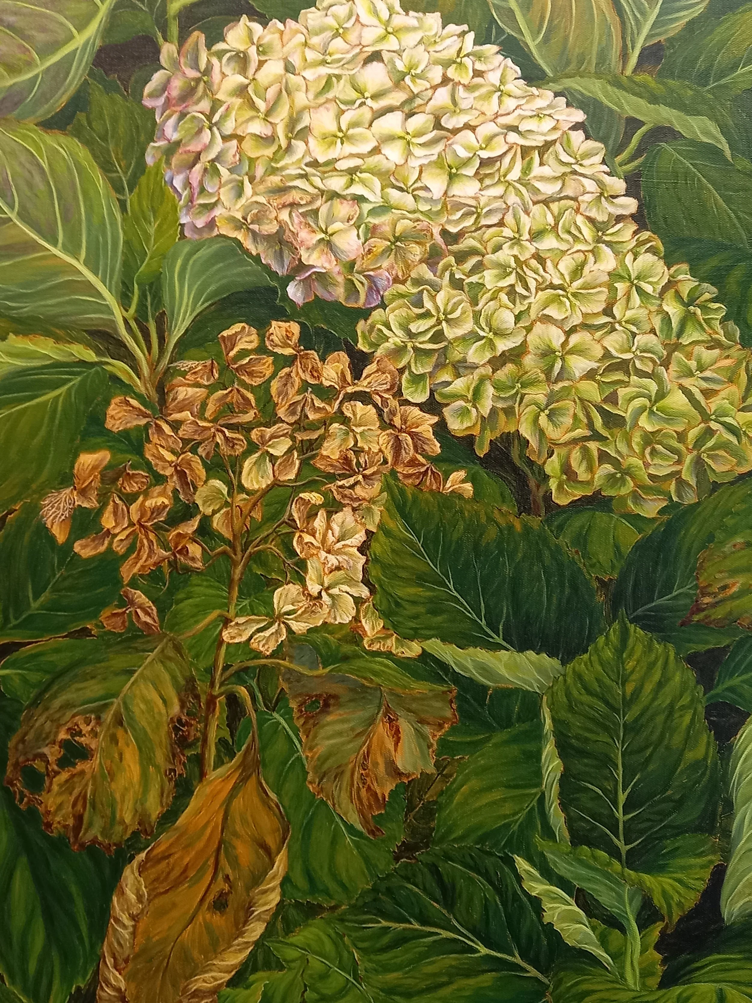 Rhonda Crawford Art - White Hydrangea w/ Dieback