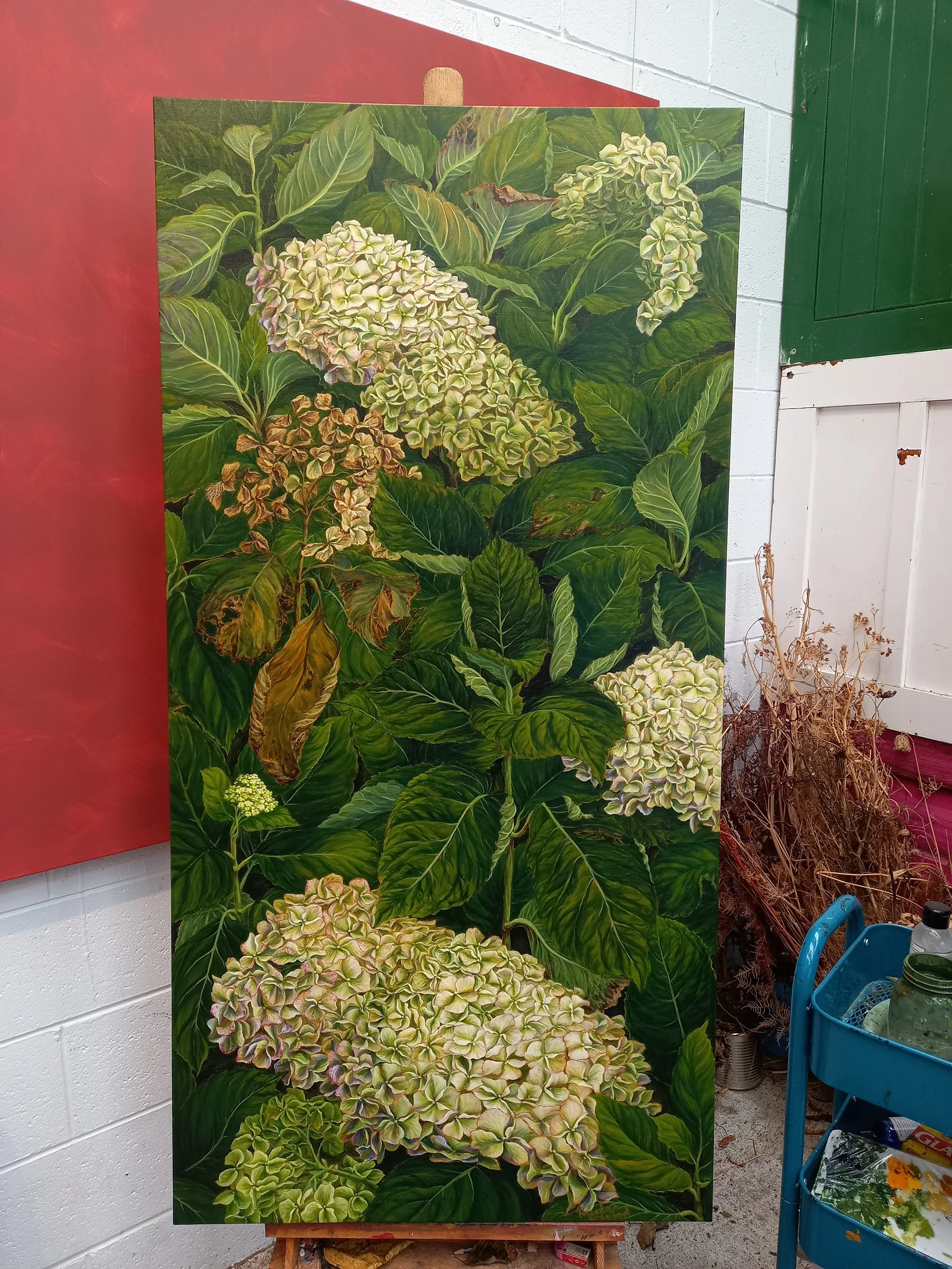 Rhonda Crawford Art - White Hydrangea