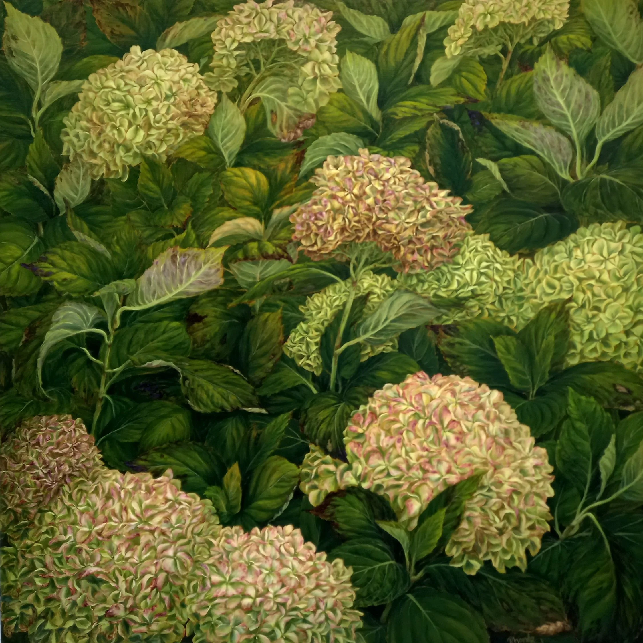 Rhonda Crawford Art - Pink & Green Hydrangea