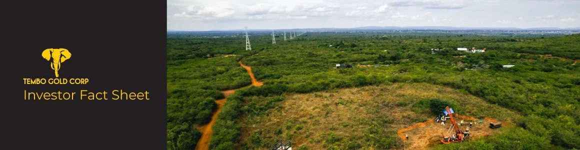 Cover of Tembo Gold Corp investor fact sheet showing an aerial view of a green, partly cleared land area with power lines in the distance and mining equipment in the foreground.