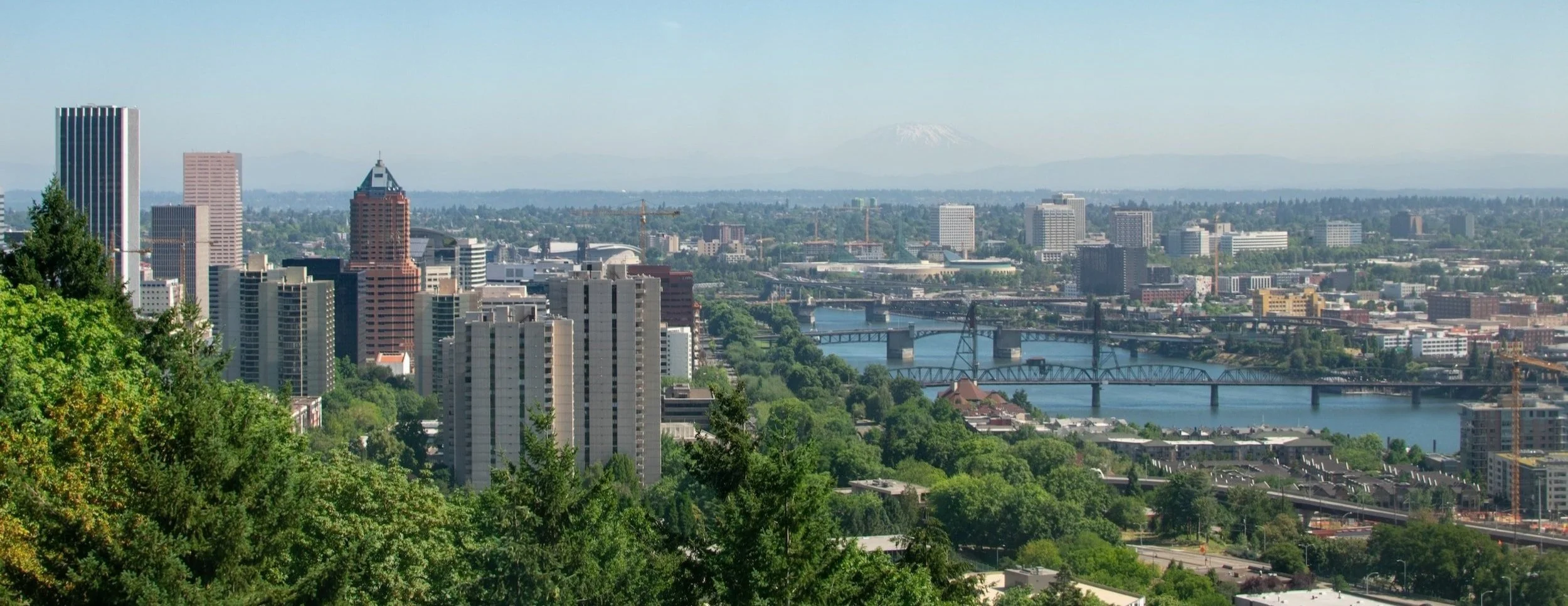 Twin Cedar Designs - Portland Oregon web designer