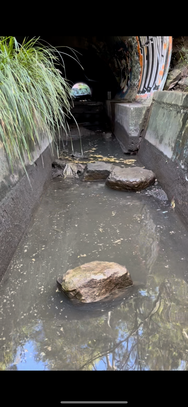 Culvert Clean Out - Urban Renew.png