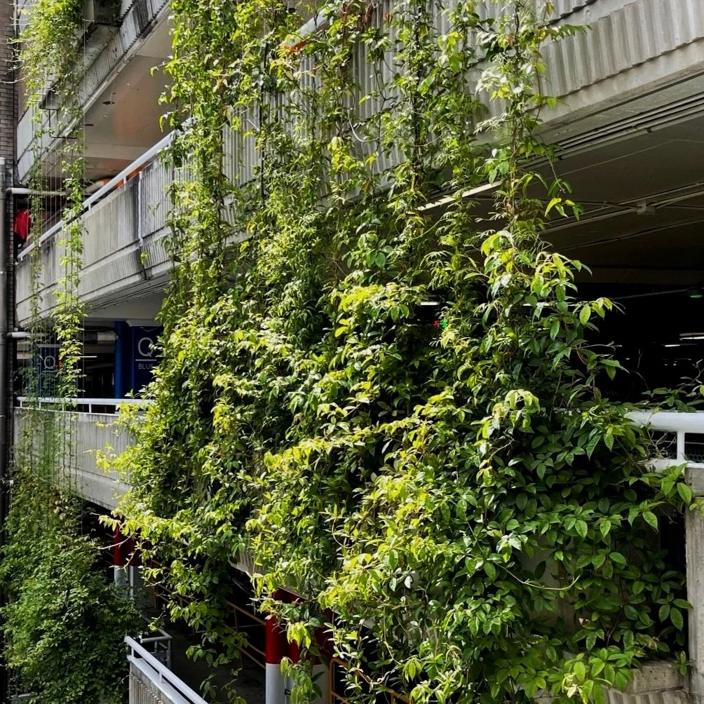 Urban Renew - Urban Greening and WSUD