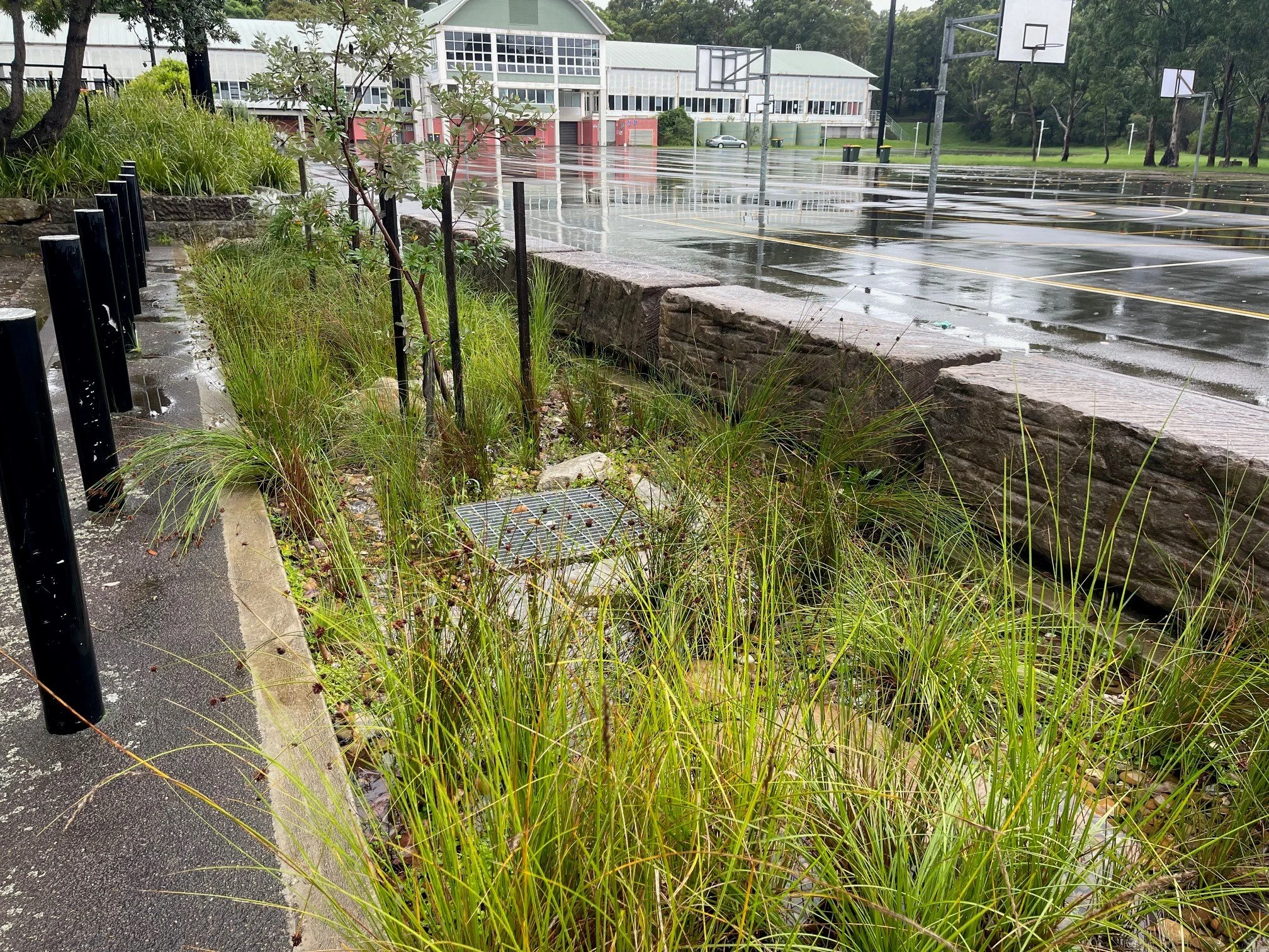 WSUD Maintenance 5.jpg