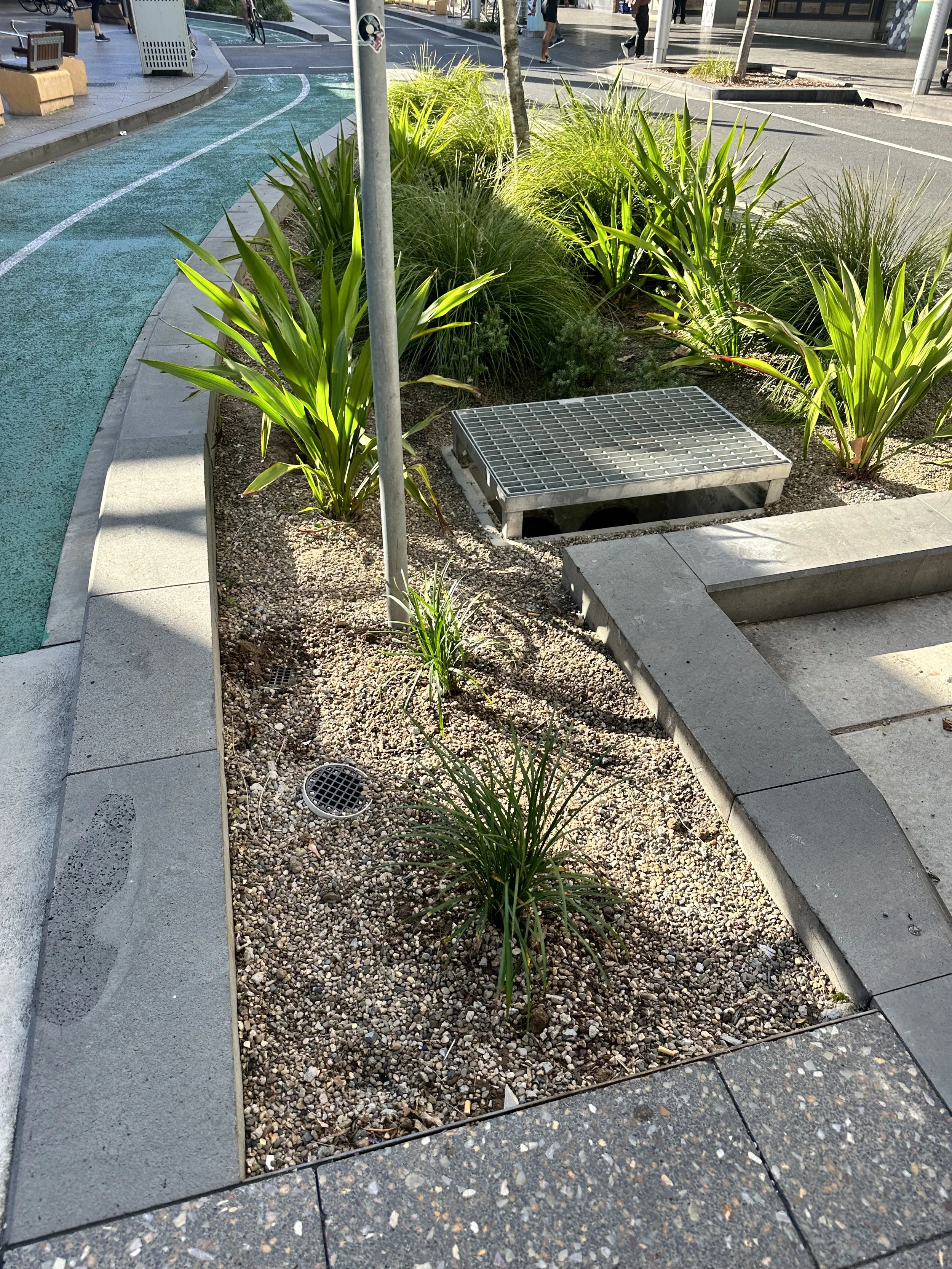 WSUD Maintenance - Waverley 2.jpg