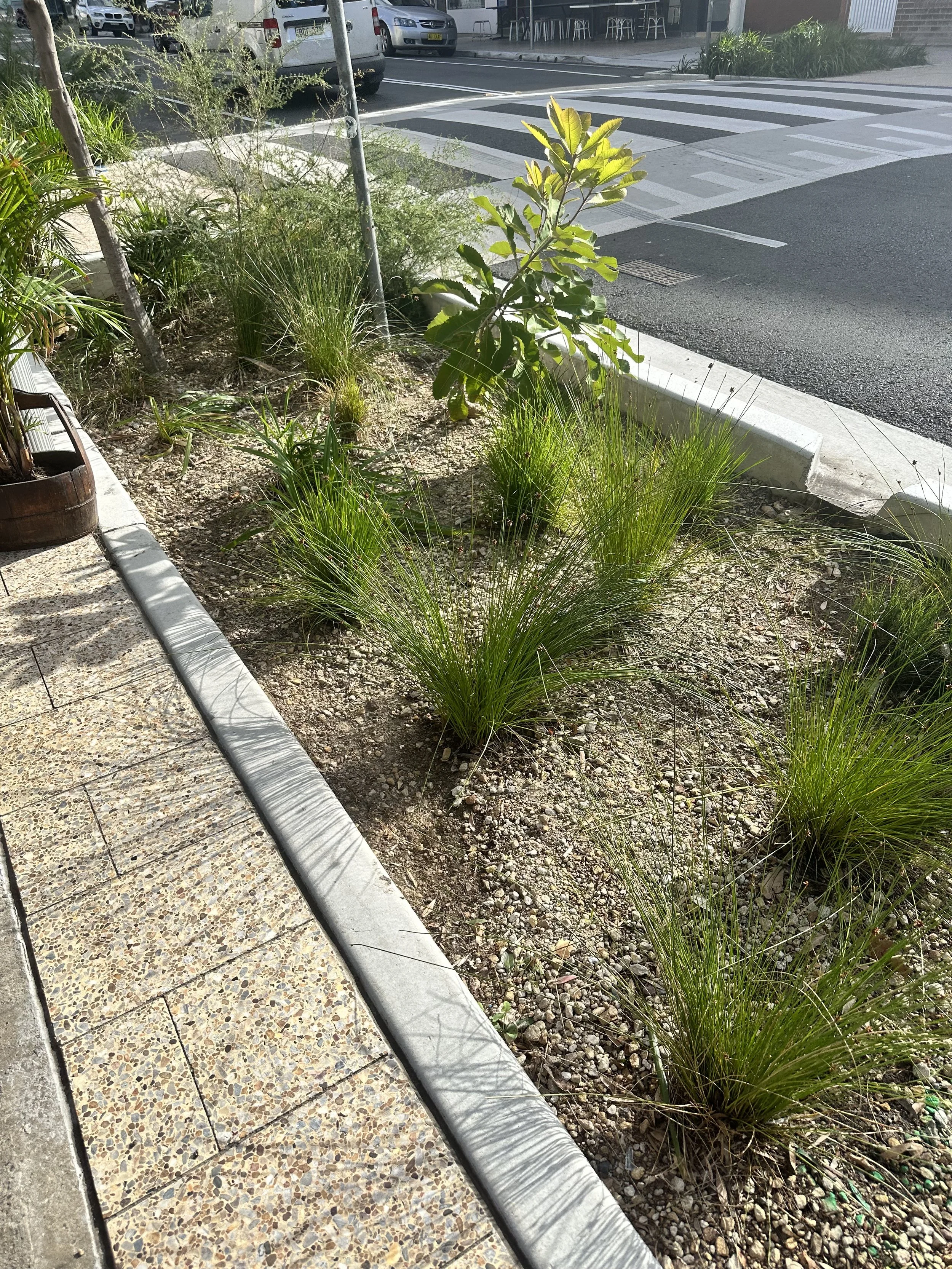 WSUD Maintenance - Waverley 1.jpg