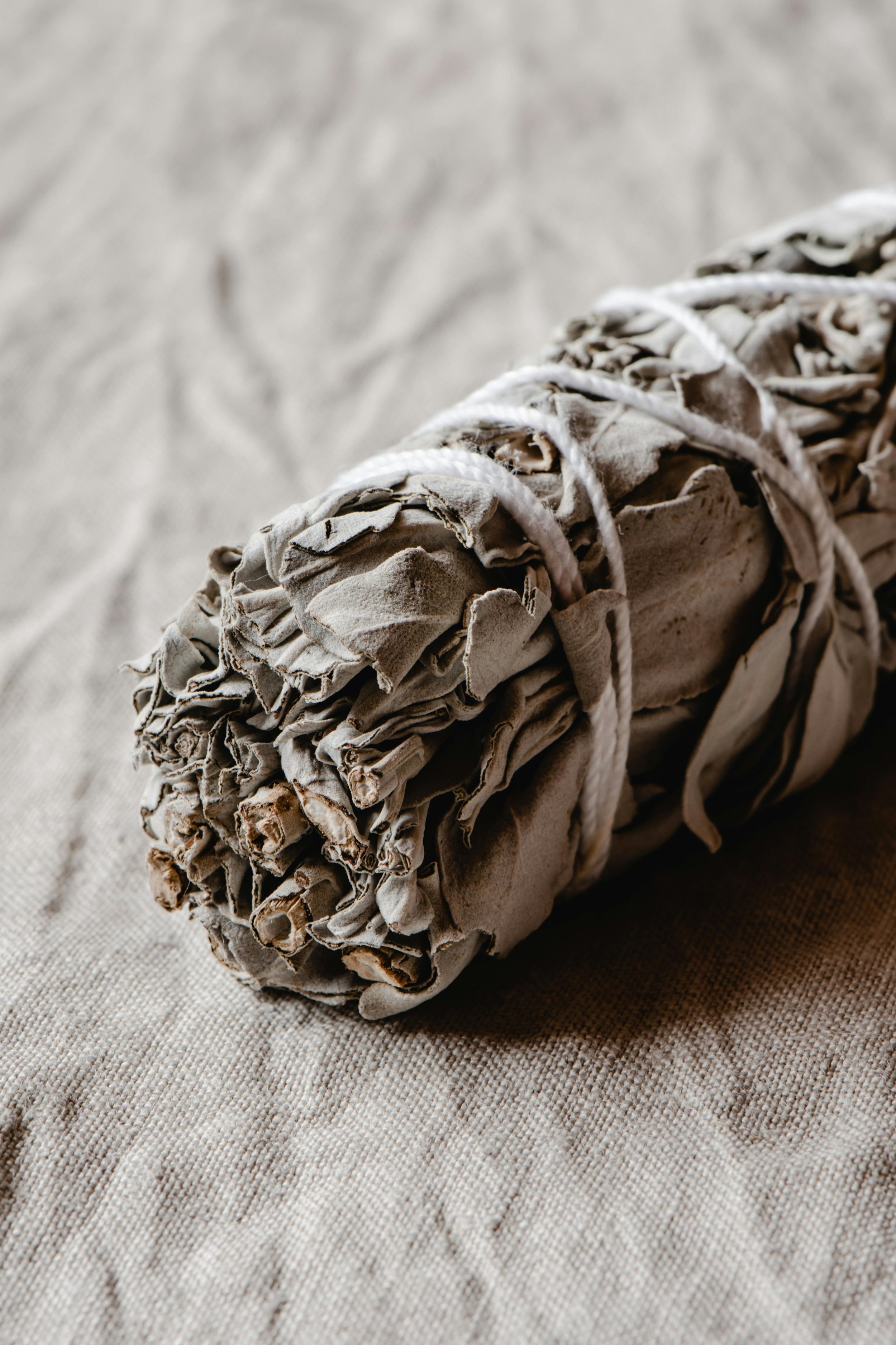 The Cultural and Native Significance of White and Black Sage