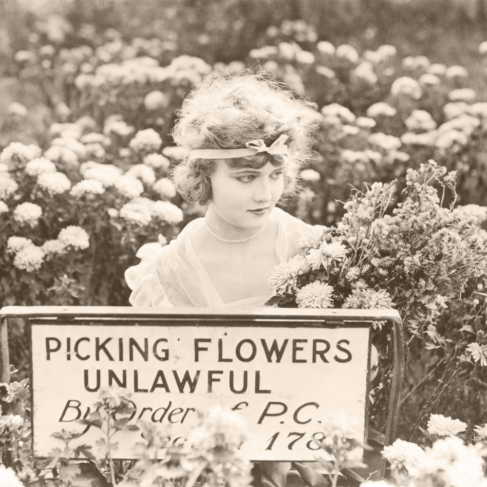 The Rise of the Garden Keeper