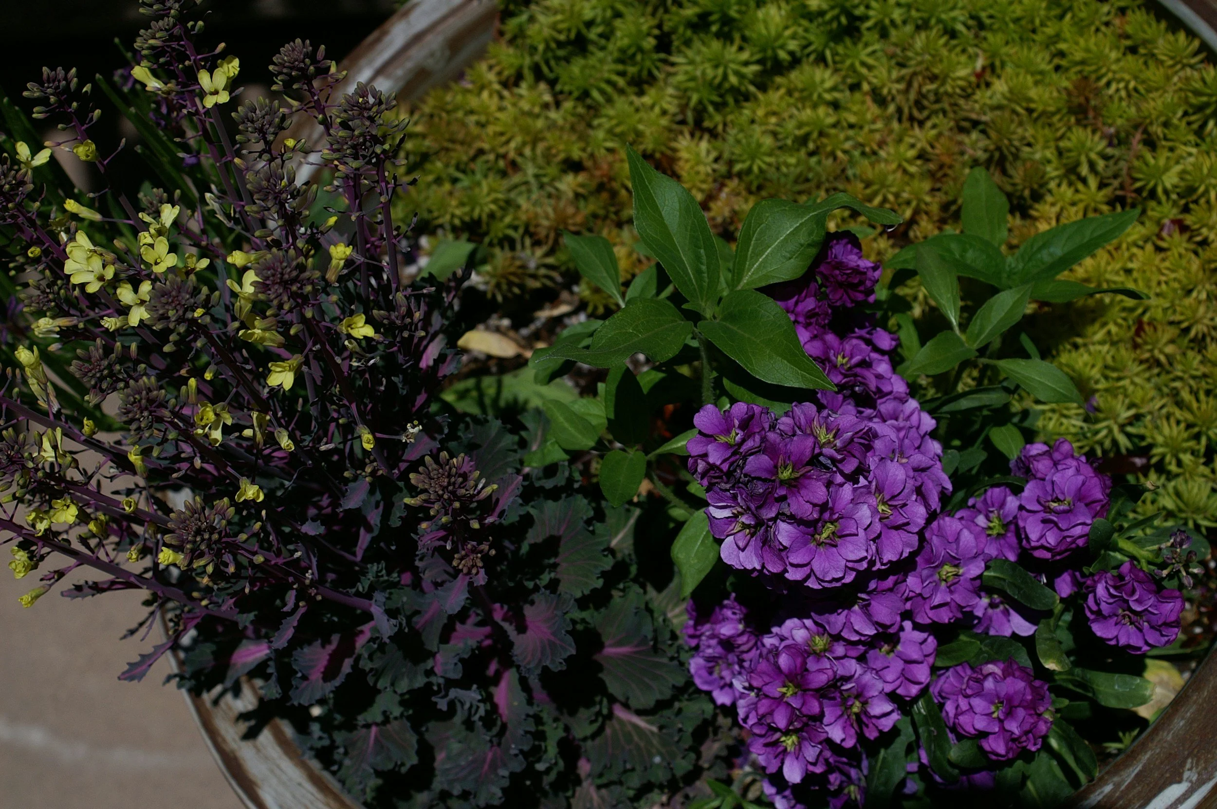 Porch Rituals &amp; Threshold Gardens 