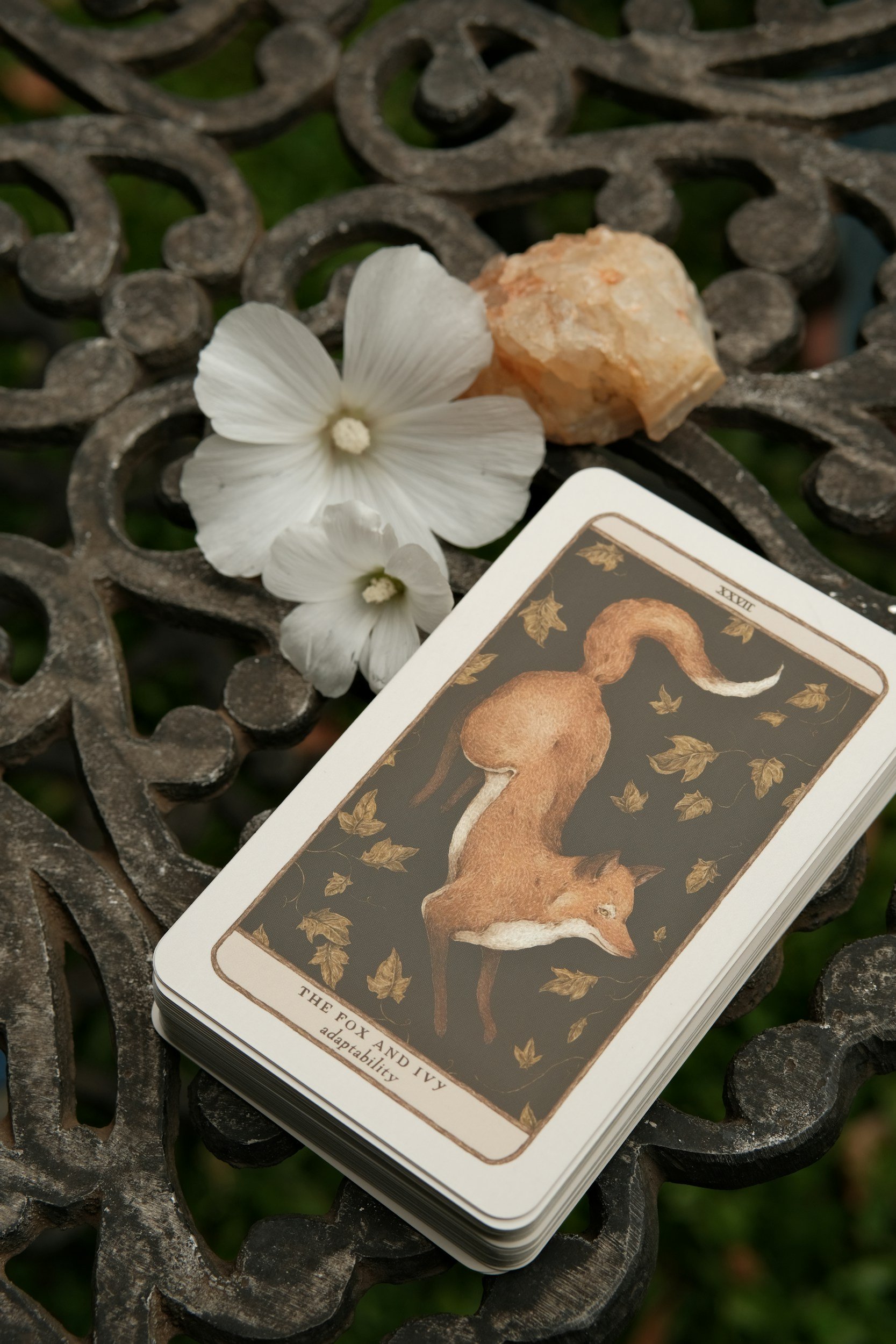 The Ritual of Pulling Oracle Cards Before Designing a Garden