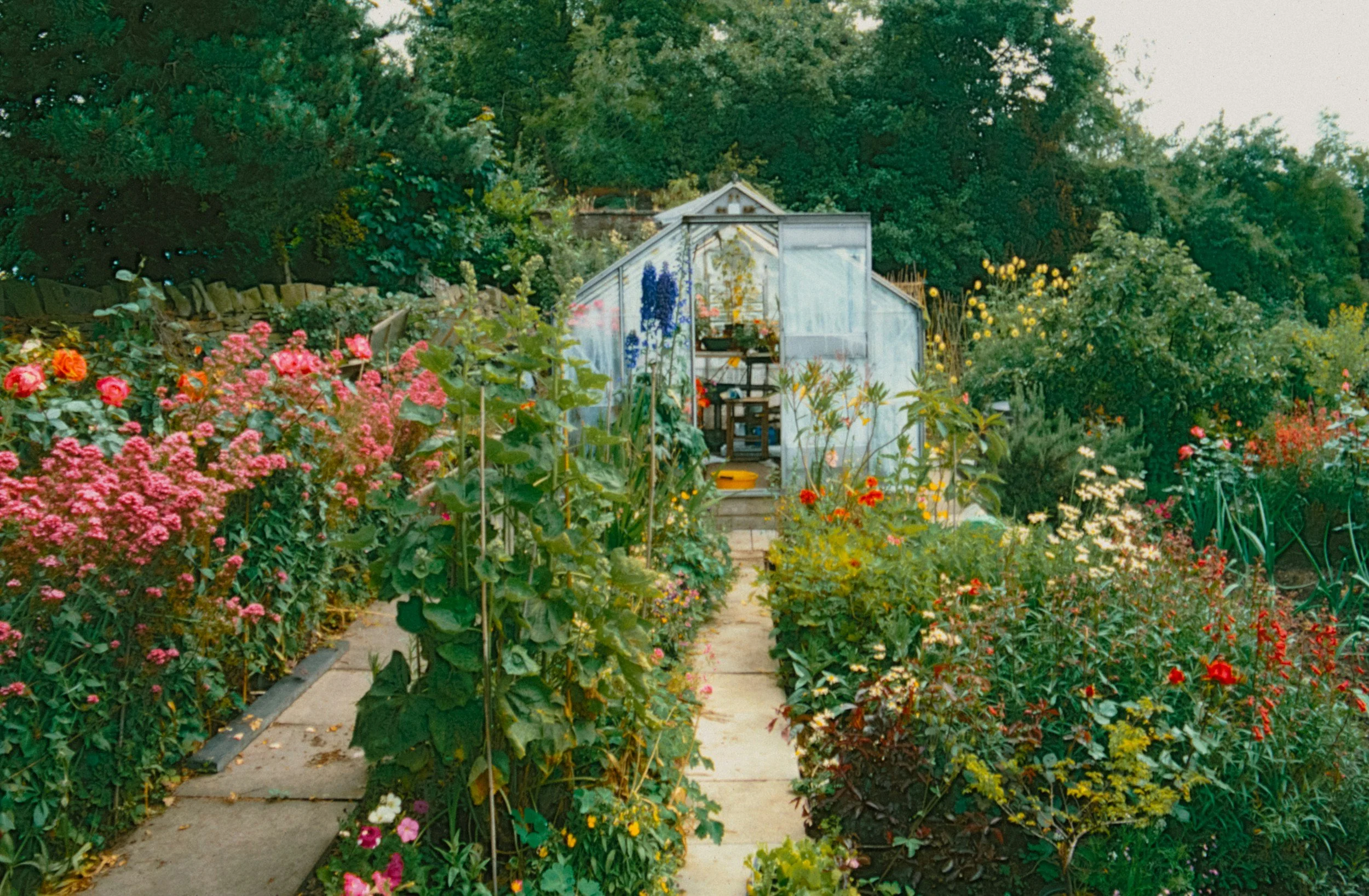 A garden with a pathway leading to a small greenhouse, surrounded by colorful flowers and green trees.