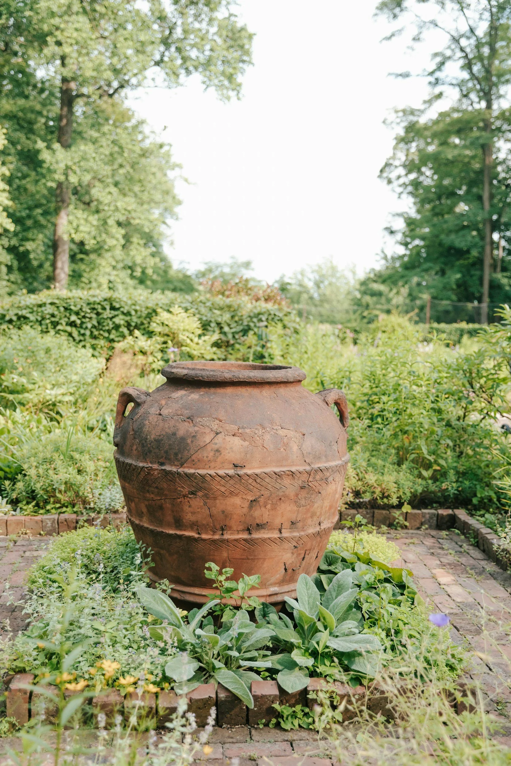 Rustic garden pot surrounded by greenery in South Pasadena, showcasing Wild & Tame’s natural and ecology-focused design style.