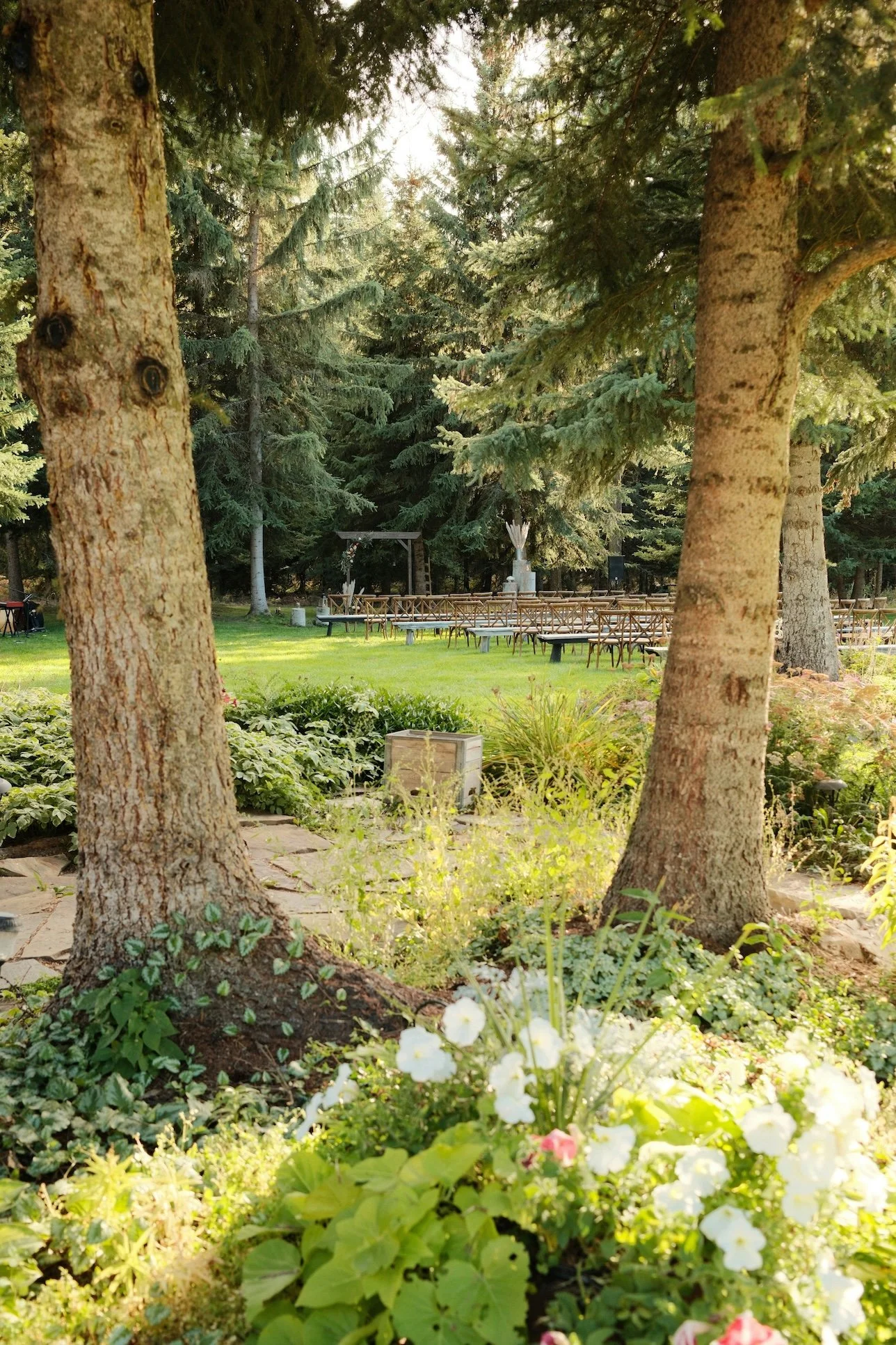 Planning a Backyard Bash or Ceremony? Start Here.