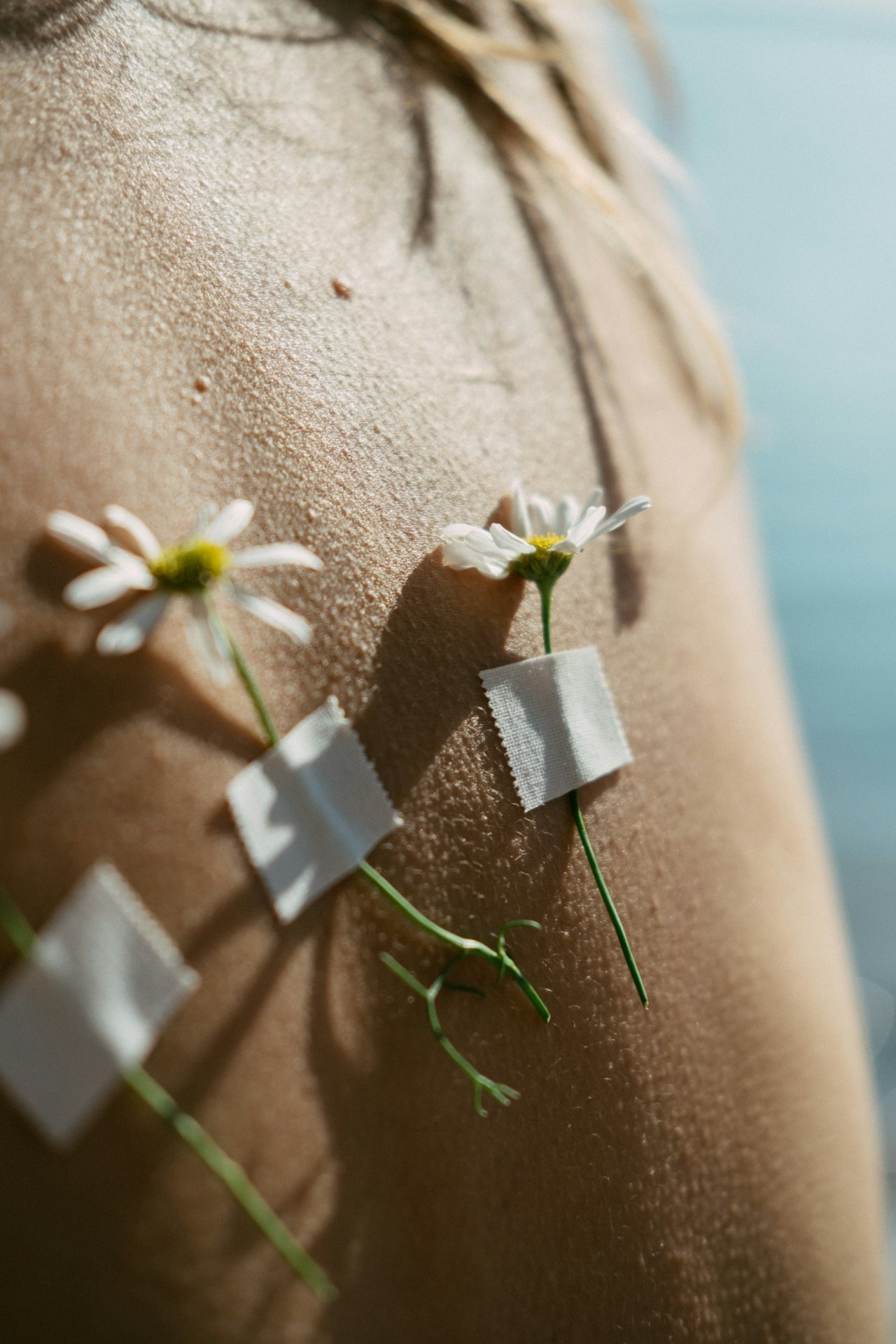 Perfume Plant Package