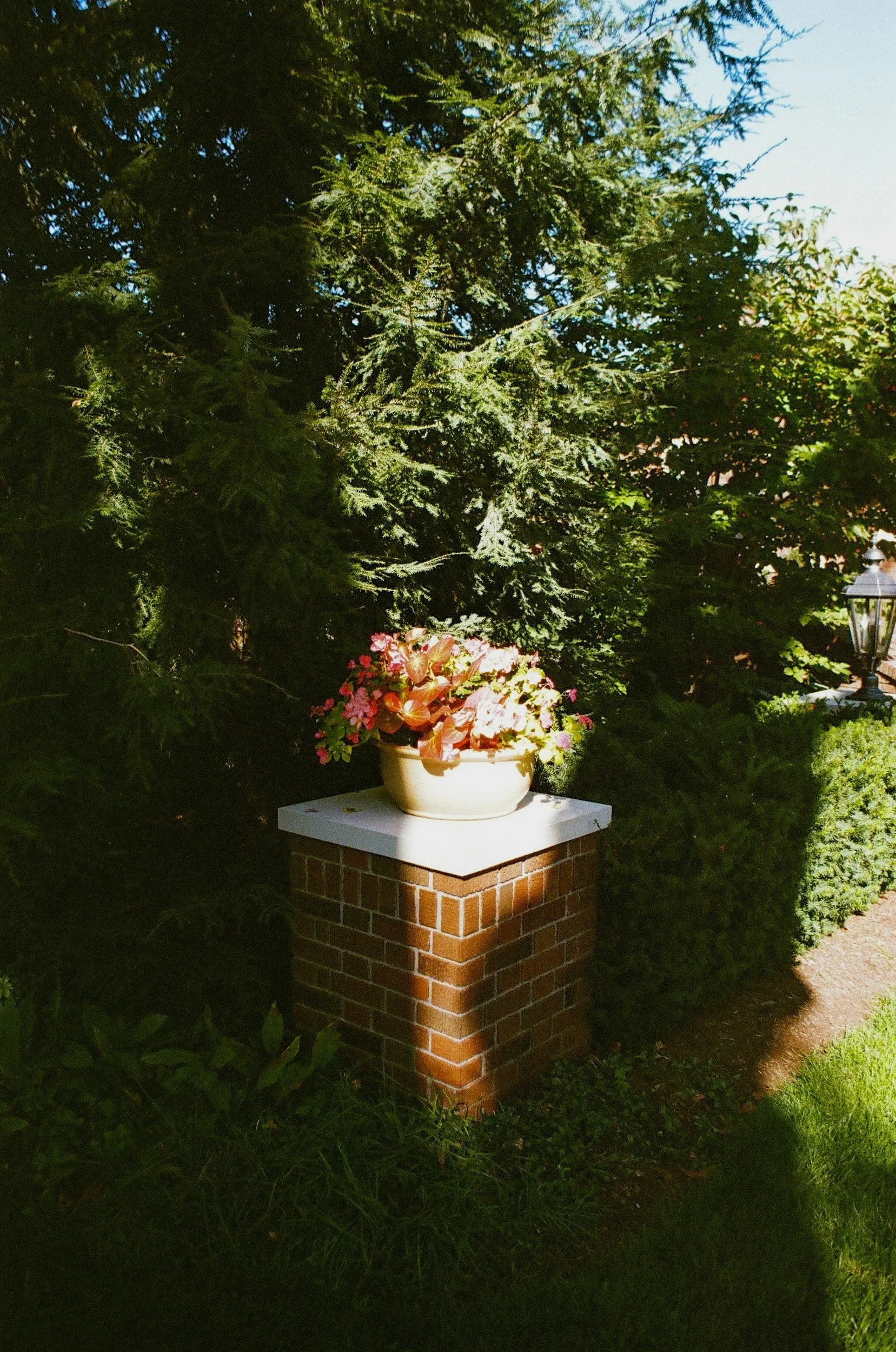 Layered native pollinator garden with purple potted flowers on a brick column, example of Wild & Tame’s garden design and planting services in Los Angeles.