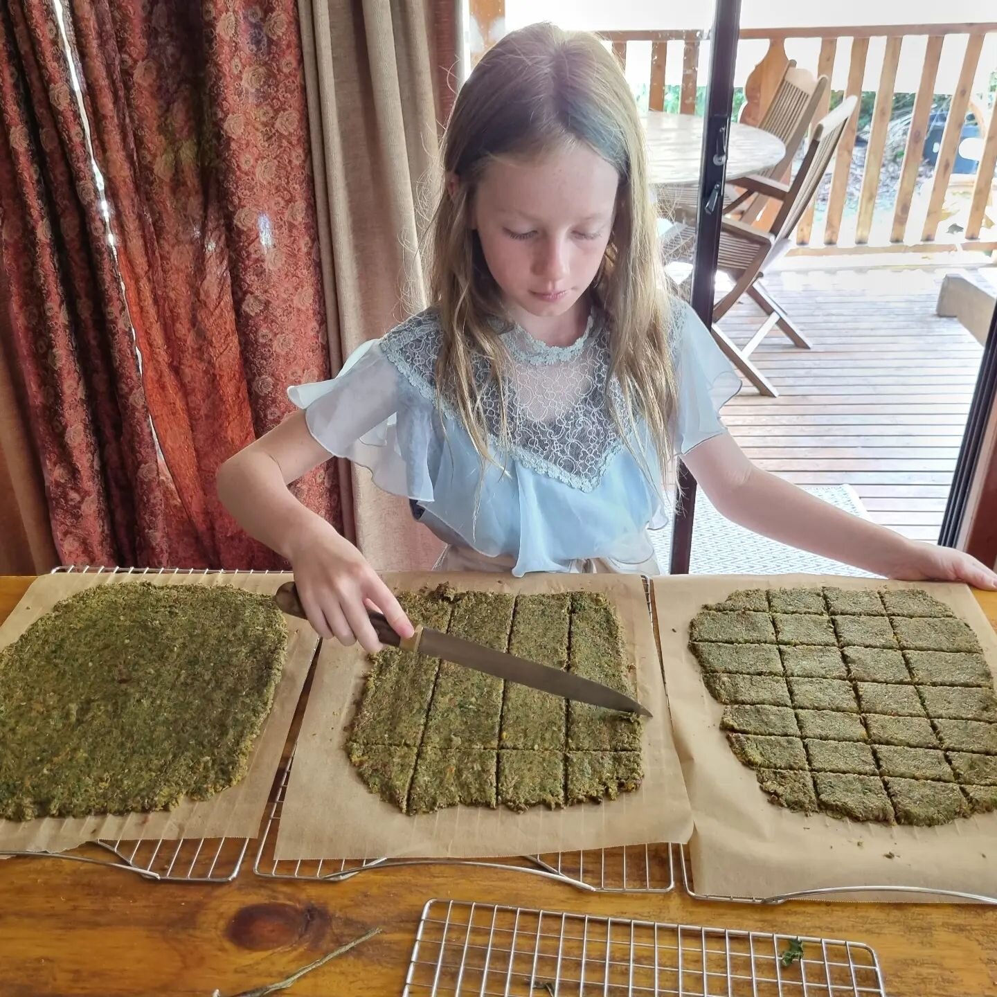 Here is Akasha helping make raw crackers, using pulp left over from making Plantain Succus.  The succus will also be used in a new cough syrup that we are creating. 
Hurray for the plants and for having a beautiful willing family to explore them with