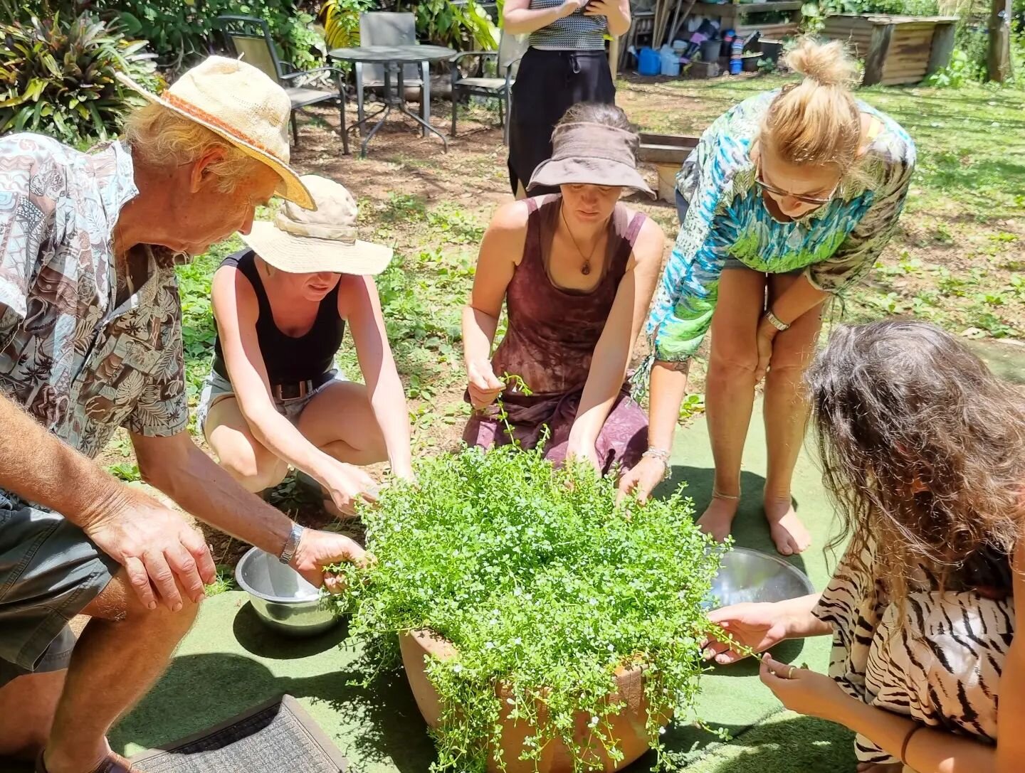 Another jam packed herbal medicine making workshop today.  I had a blast with this wonderful group.  There was so much combined wisdom and perspective.  Thanks to everyone who came along and made it such a great day. 💜🌿

#makingherbalmedicine #brah