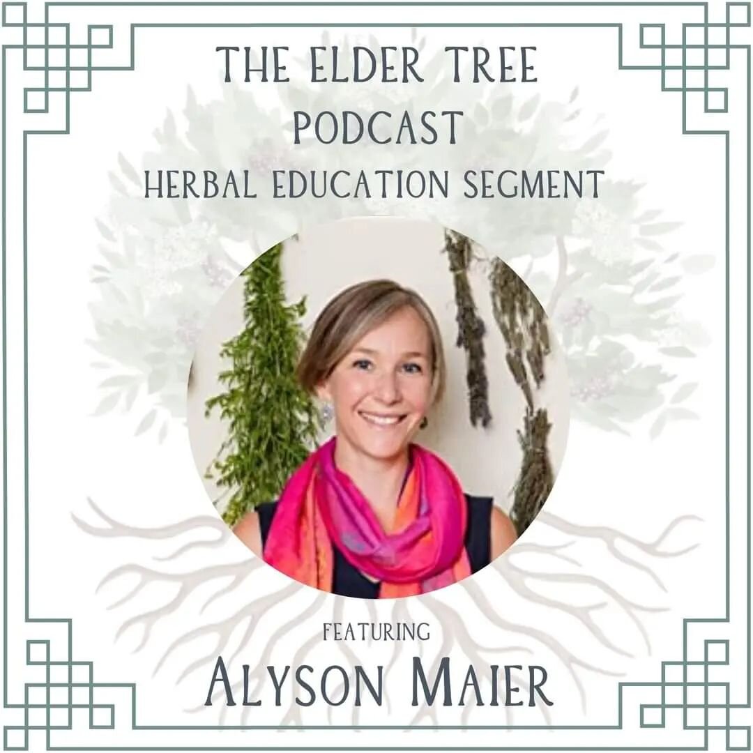 New moon blessings.  I am excited to announce that today  my first interview is released for The Elder Tree podcast!!

@alysonmaiernaturopath is our very first interviewee on The Elder Tree podcast.  Alyson is a shamanic, naturopathic and herbal prac