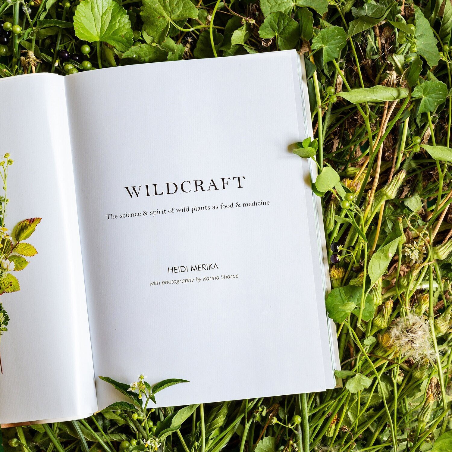 Wildcraft 3.jpeg