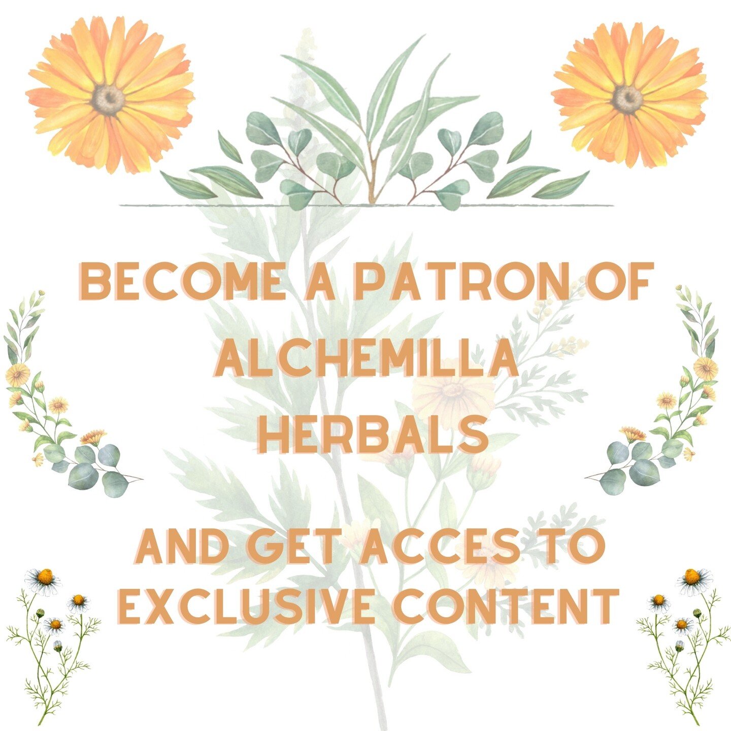Get behind the scenes insight into the Alchemilla Herbals journey. Have VIP access to tutorials and videos that are not available anywhere else on the internet. 

Purchase a monthly membership tier depending on what you would like access to.

I have 