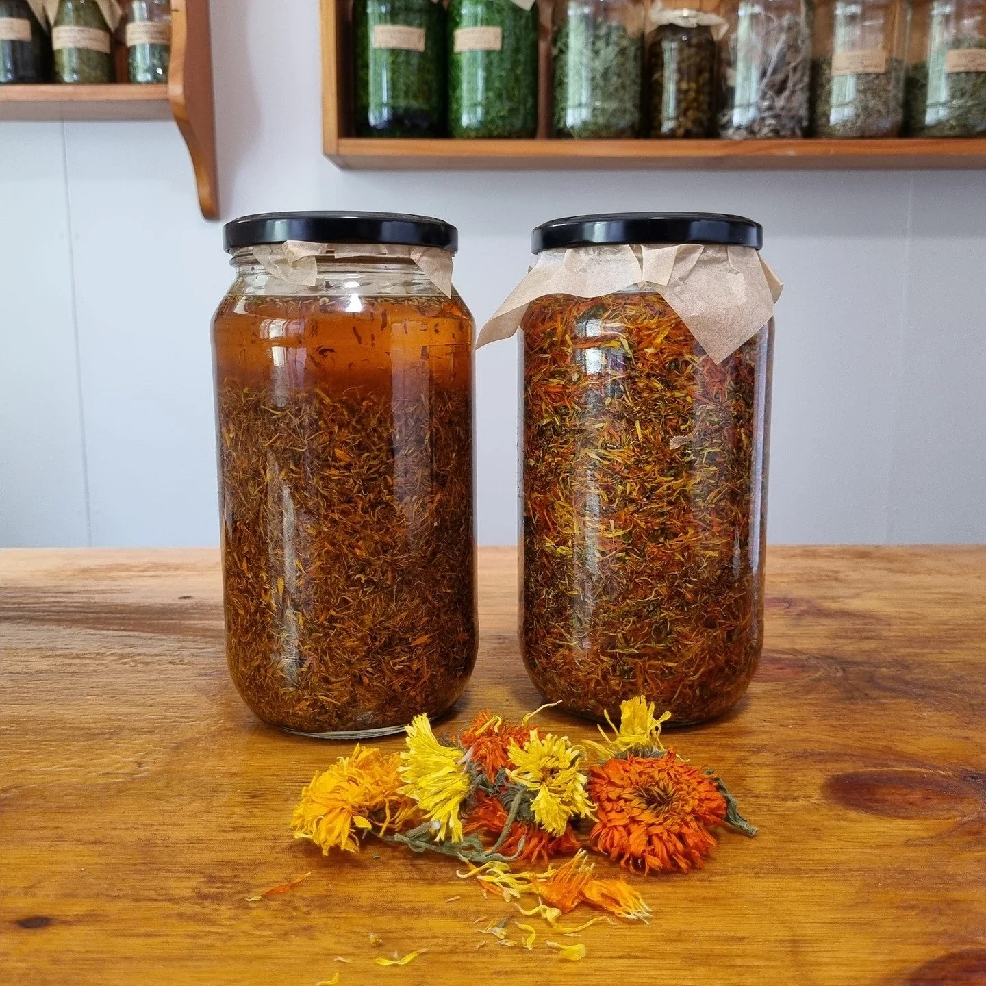 🌼 Calendula Moon enrolments are now open! 🌼
This course goes for one whole moon cycle beginning on the new moon 22nd Sept, and can be completed online- you can also attend an optional face to face meetup in Mullumbimby and attend 2 group calls duri